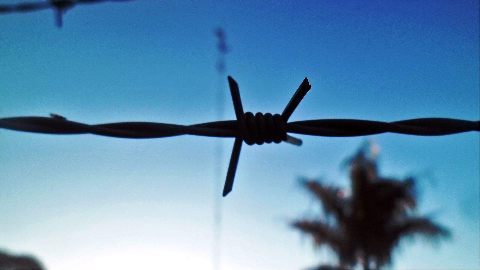Samsung ES90/ ES91 sample photo. Barbed, wire photography