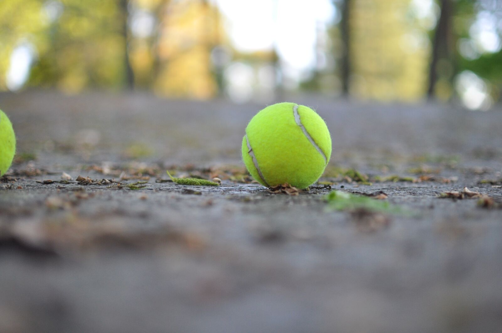 Nikon D90 sample photo. Ball, tennis, sports photography