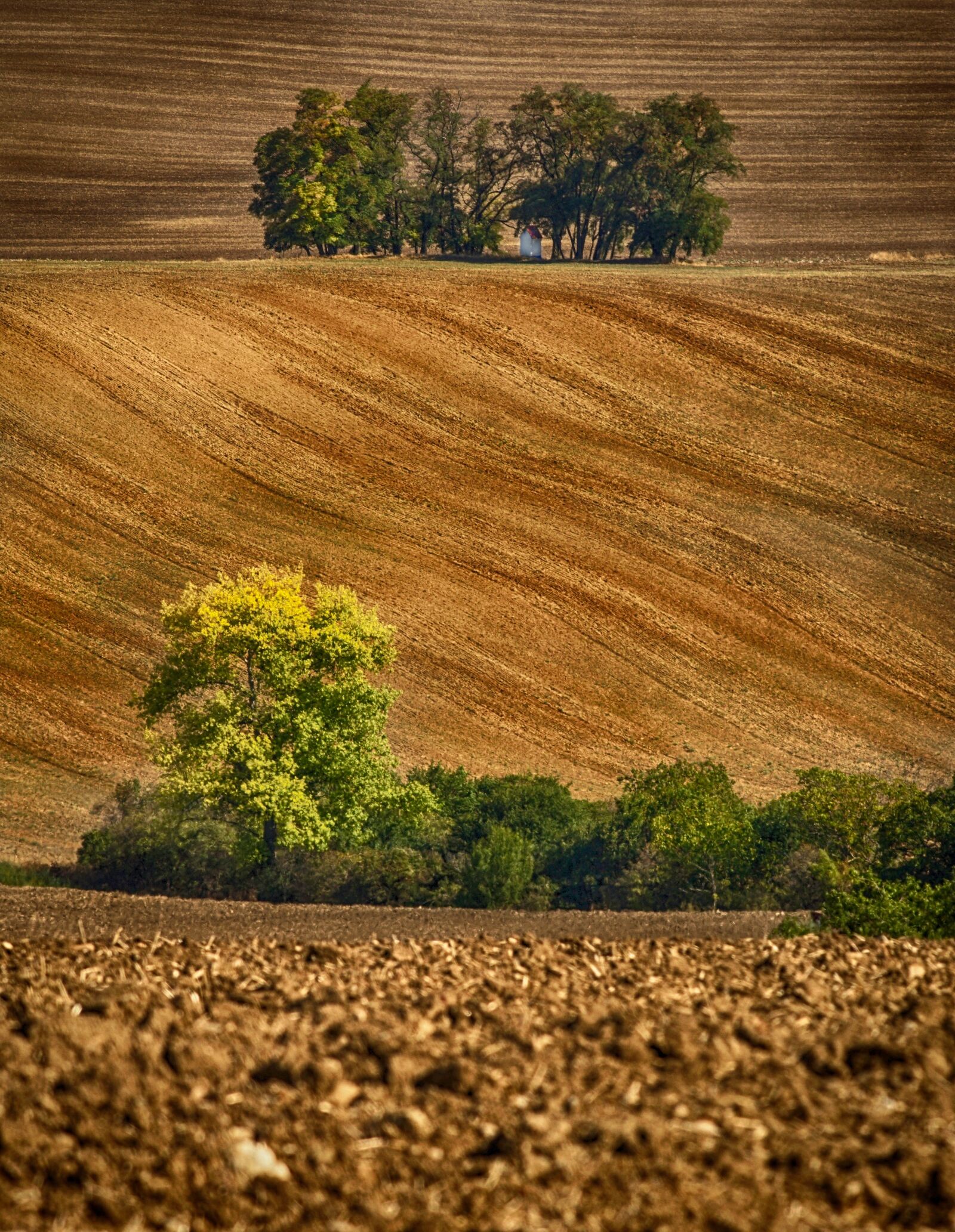 Minolta AF 200mm F2.8 HS-APO G sample photo. Landscape, monument, trees photography