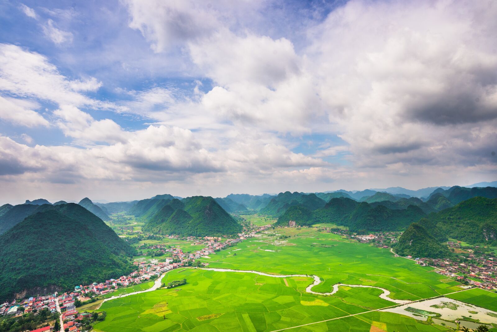 Nikon D750 sample photo. Bac son, rice, field photography