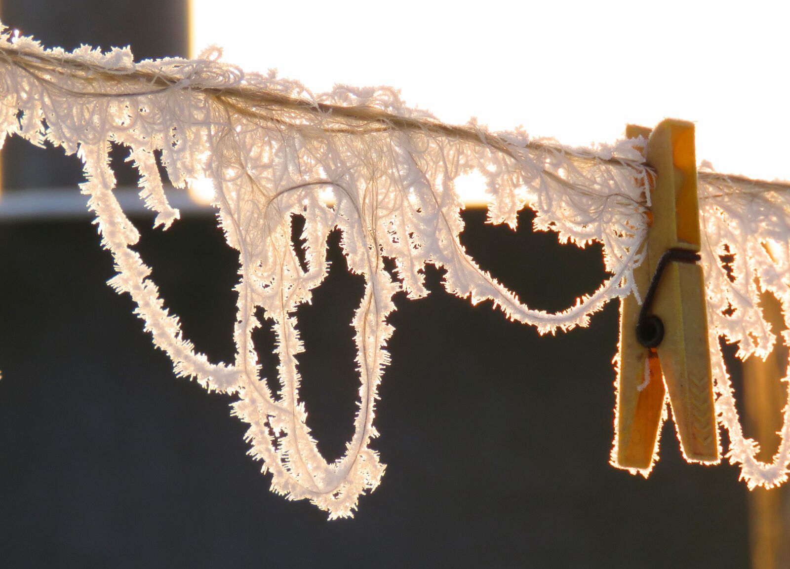 Canon PowerShot SX60 HS sample photo. Winter, frost, binder photography