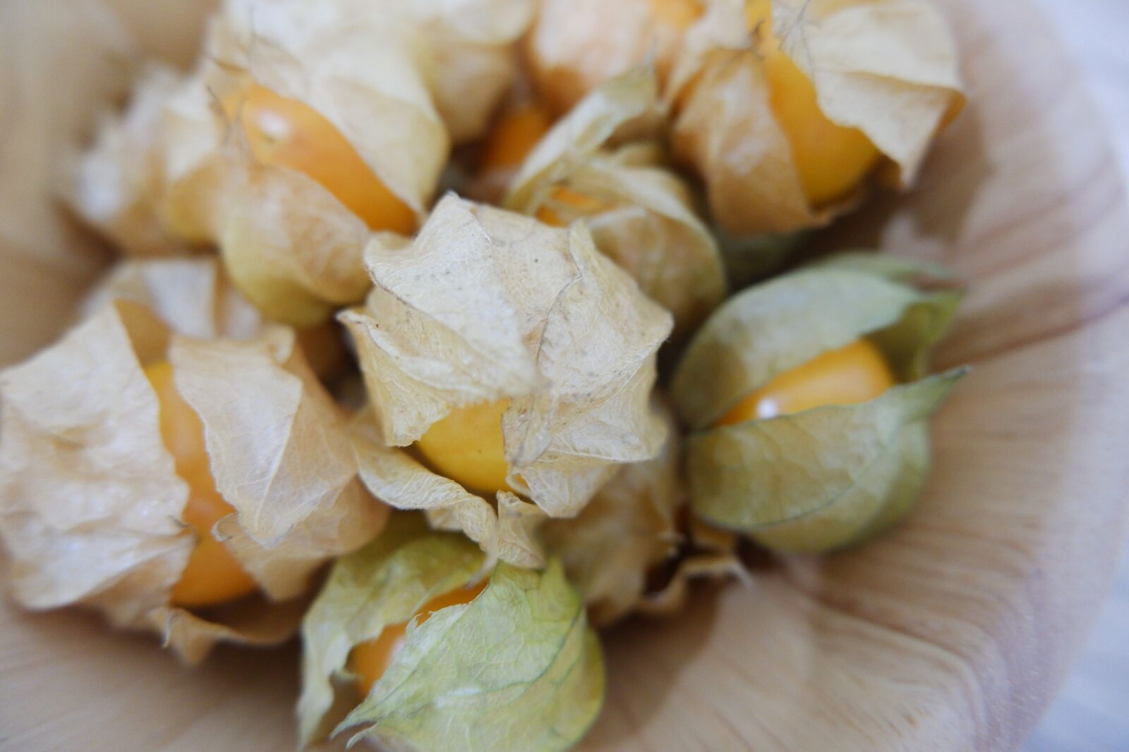 Fujifilm X-A5 sample photo. Cape goose berries, unsteadily photography