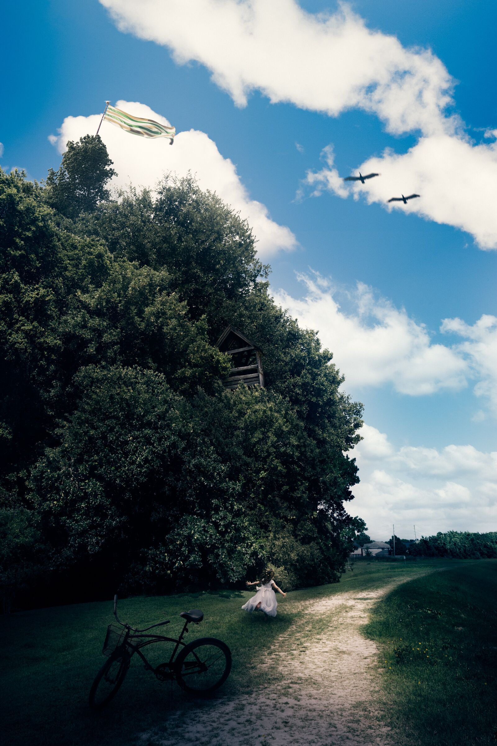 Nikon D800 sample photo. Forest, fantasy, dream photography