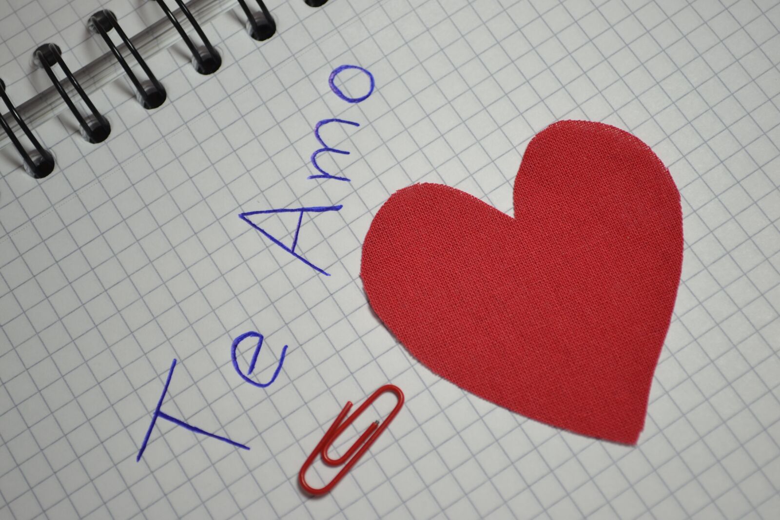 Nikon D3100 sample photo. Love, heart, red photography