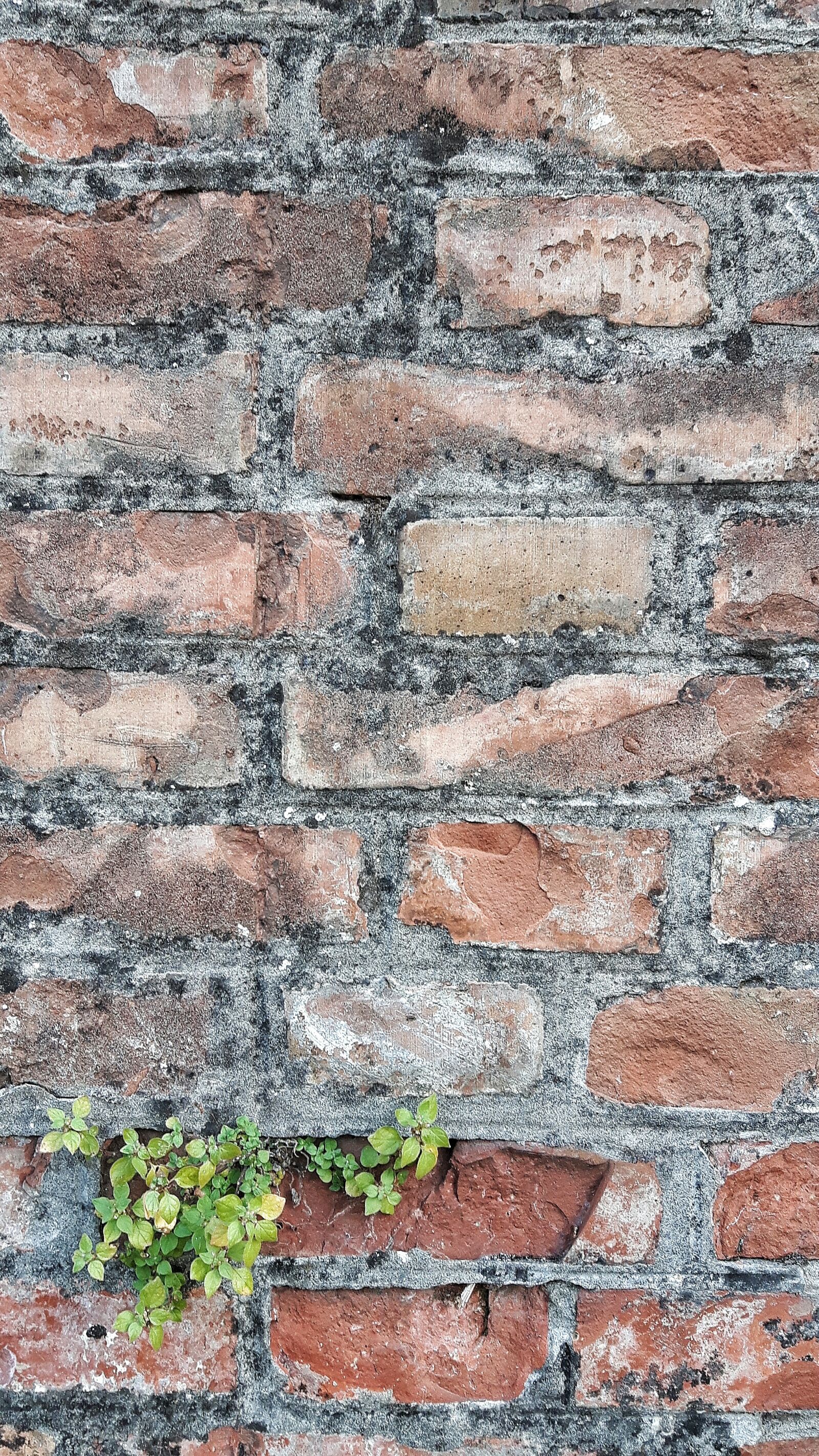 Samsung Galaxy S5 Neo sample photo. Wall, color, texture photography