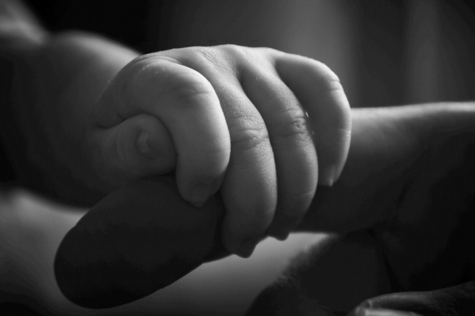 Sony Alpha a3000 sample photo. Touch, love, parents photography