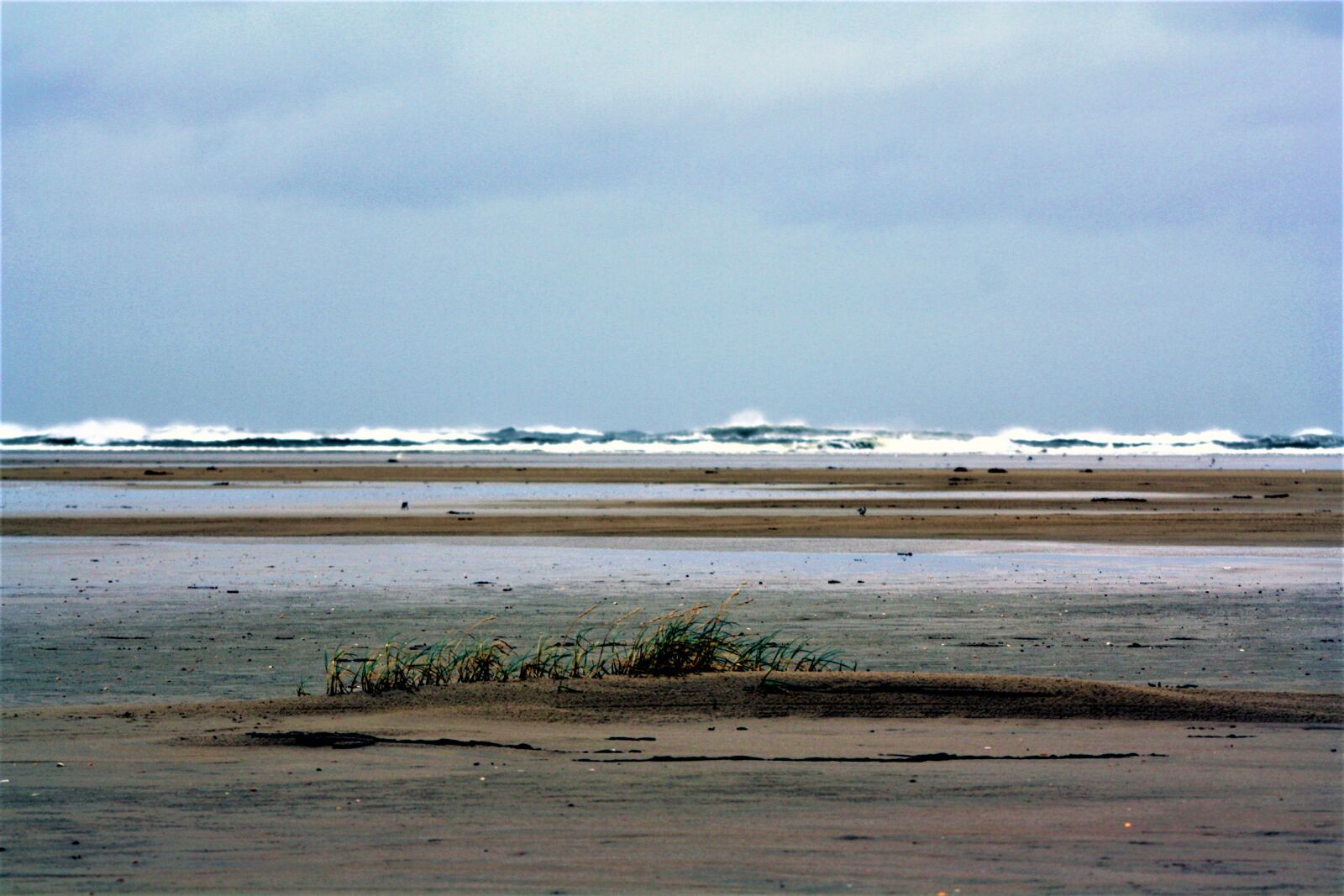 Canon EOS 1000D (EOS Digital Rebel XS / EOS Kiss F) sample photo. Borkum, east frisia, north photography