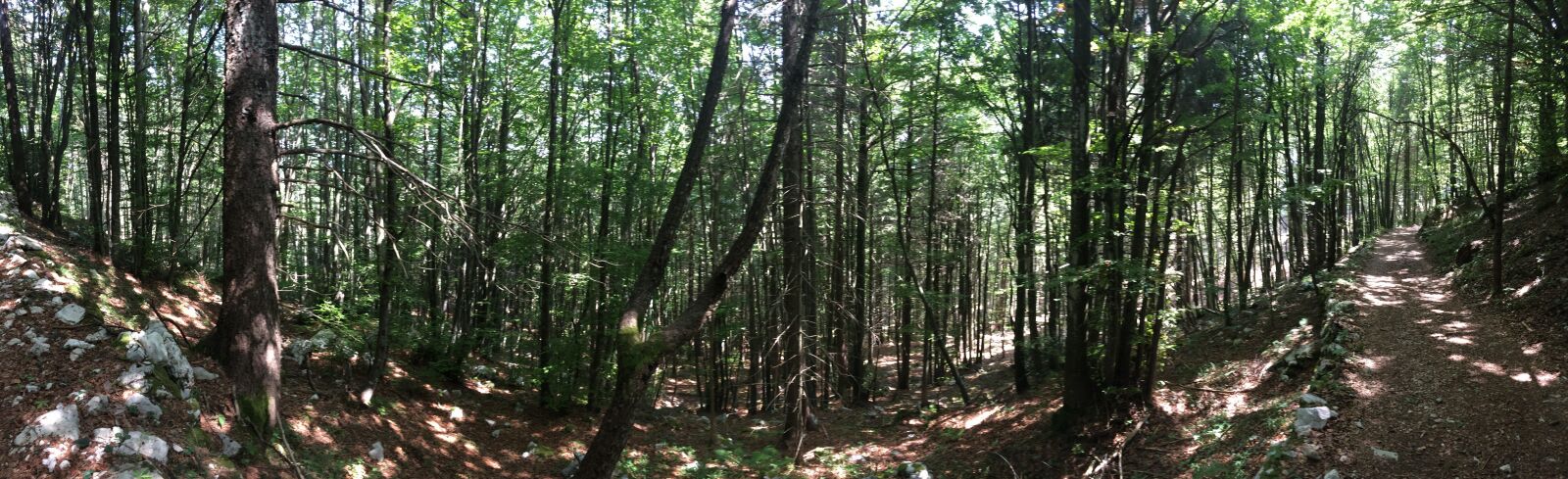 iPhone 5s back camera 4.15mm f/2.2 sample photo. Forest, mountain, hiking photography