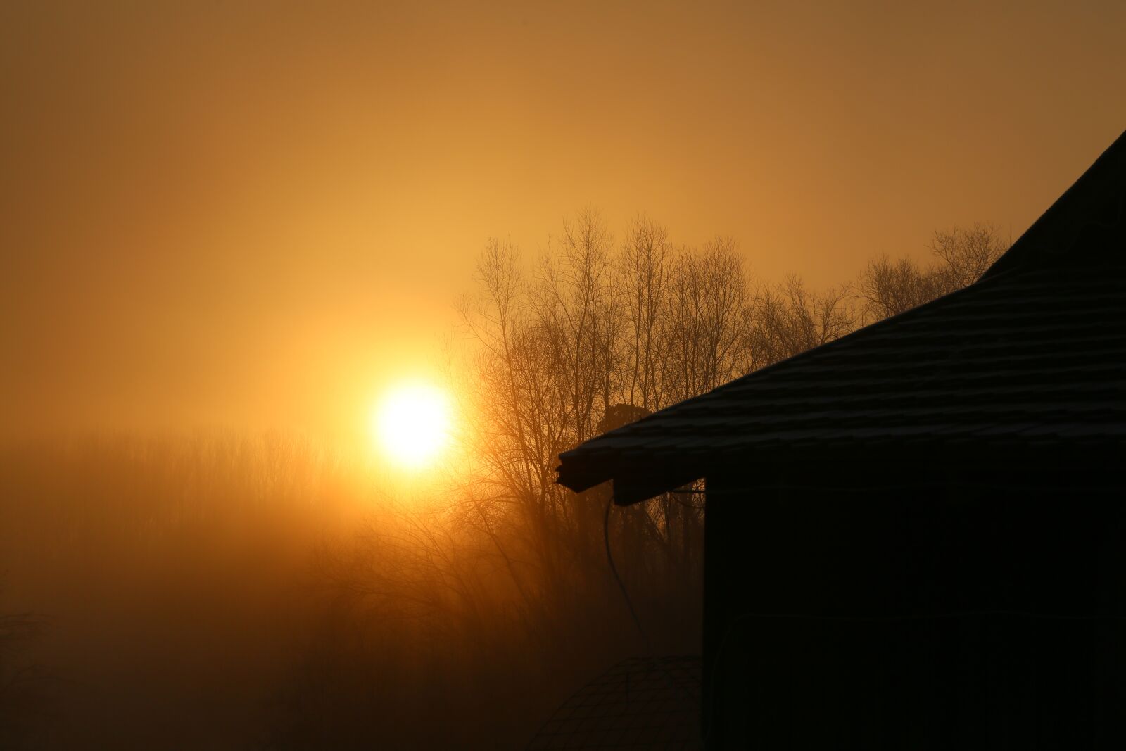 Canon EF 24-105mm F4L IS USM sample photo. Morning, mood, landscape photography