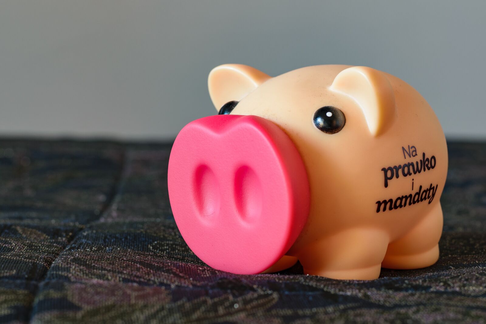 Nikon D5300 sample photo. Pig, piggybank, piggy photography