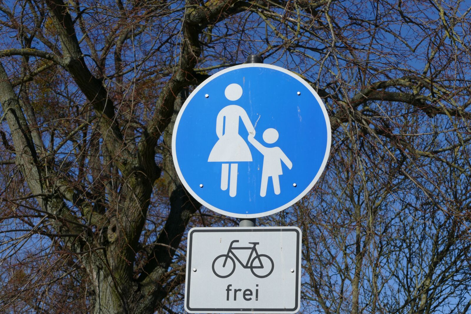 Panasonic Lumix DMC-FZ1000 sample photo. Pedestrian, road traffic sign photography