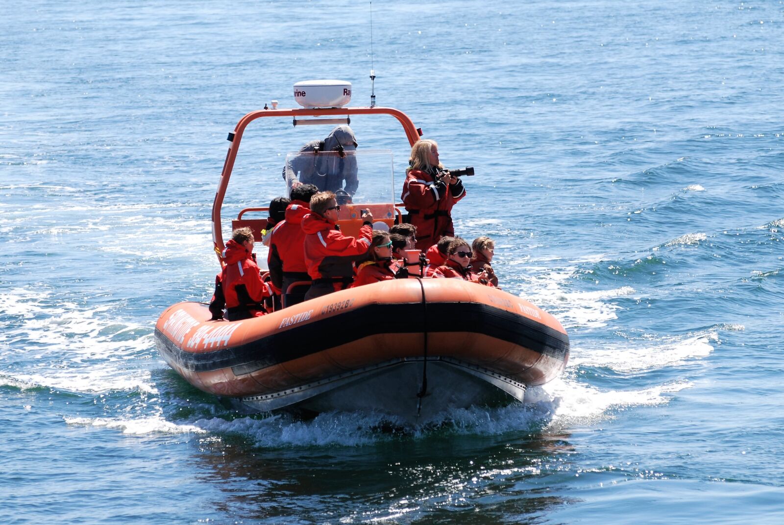 Nikon D80 sample photo. Whale watching, zodiac, dinghy photography
