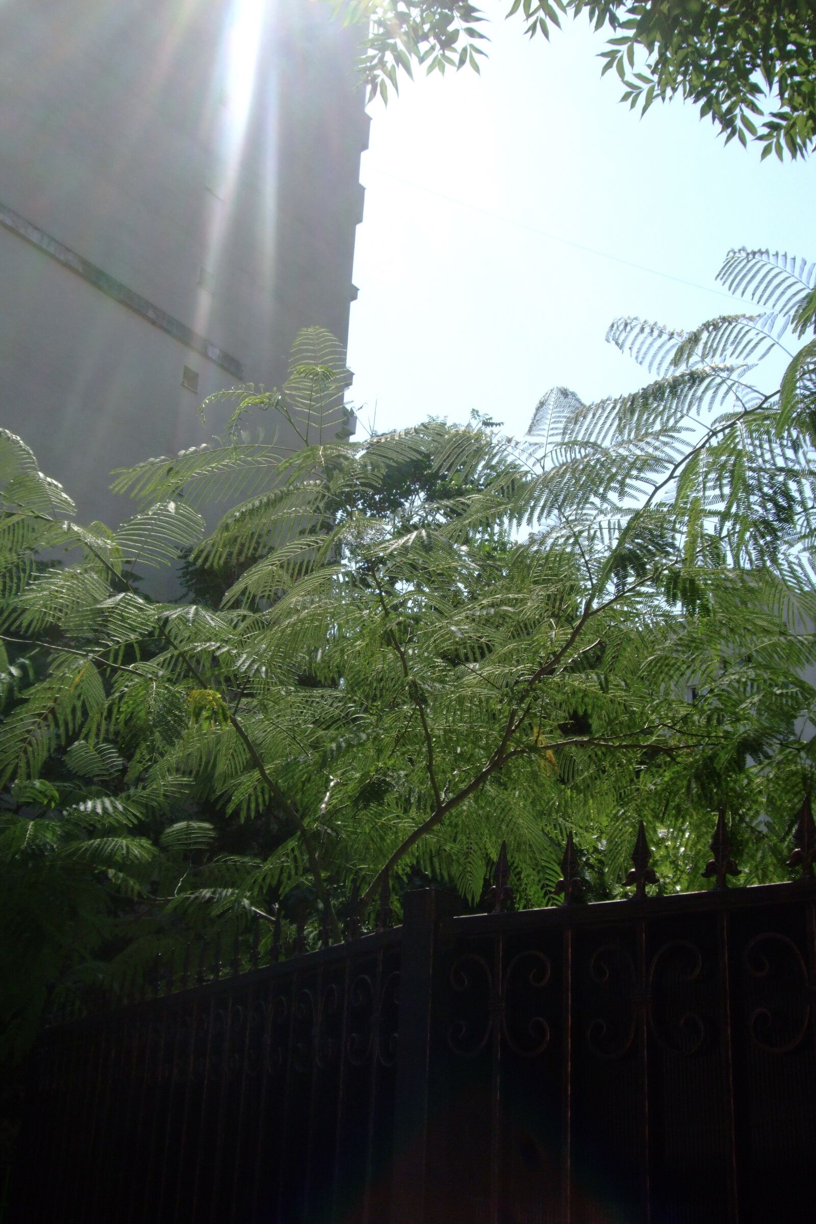 Fujifilm FinePix F50fd sample photo