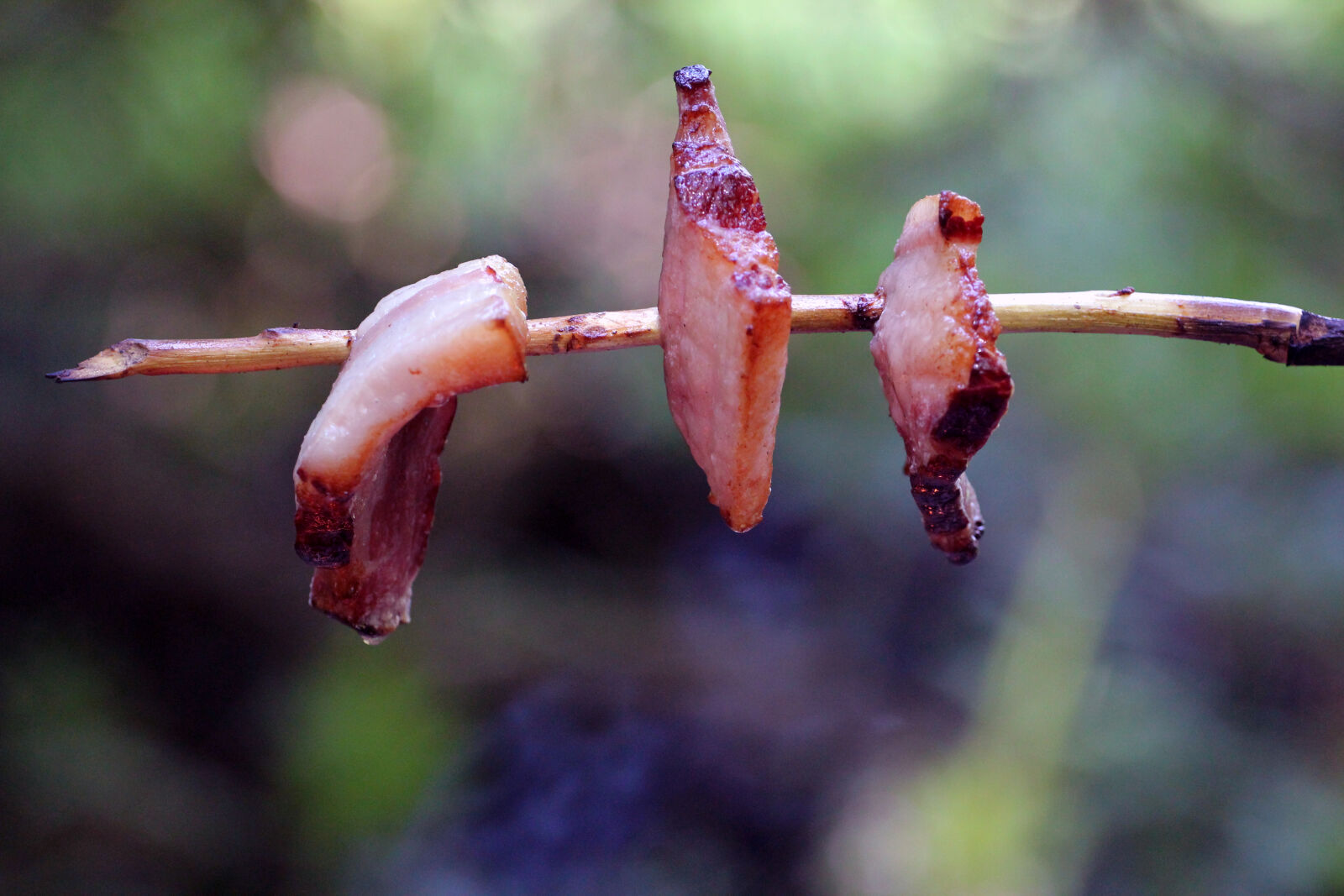 Canon EF 70-200mm F4L USM sample photo. Bacon, fire, meat, stick photography