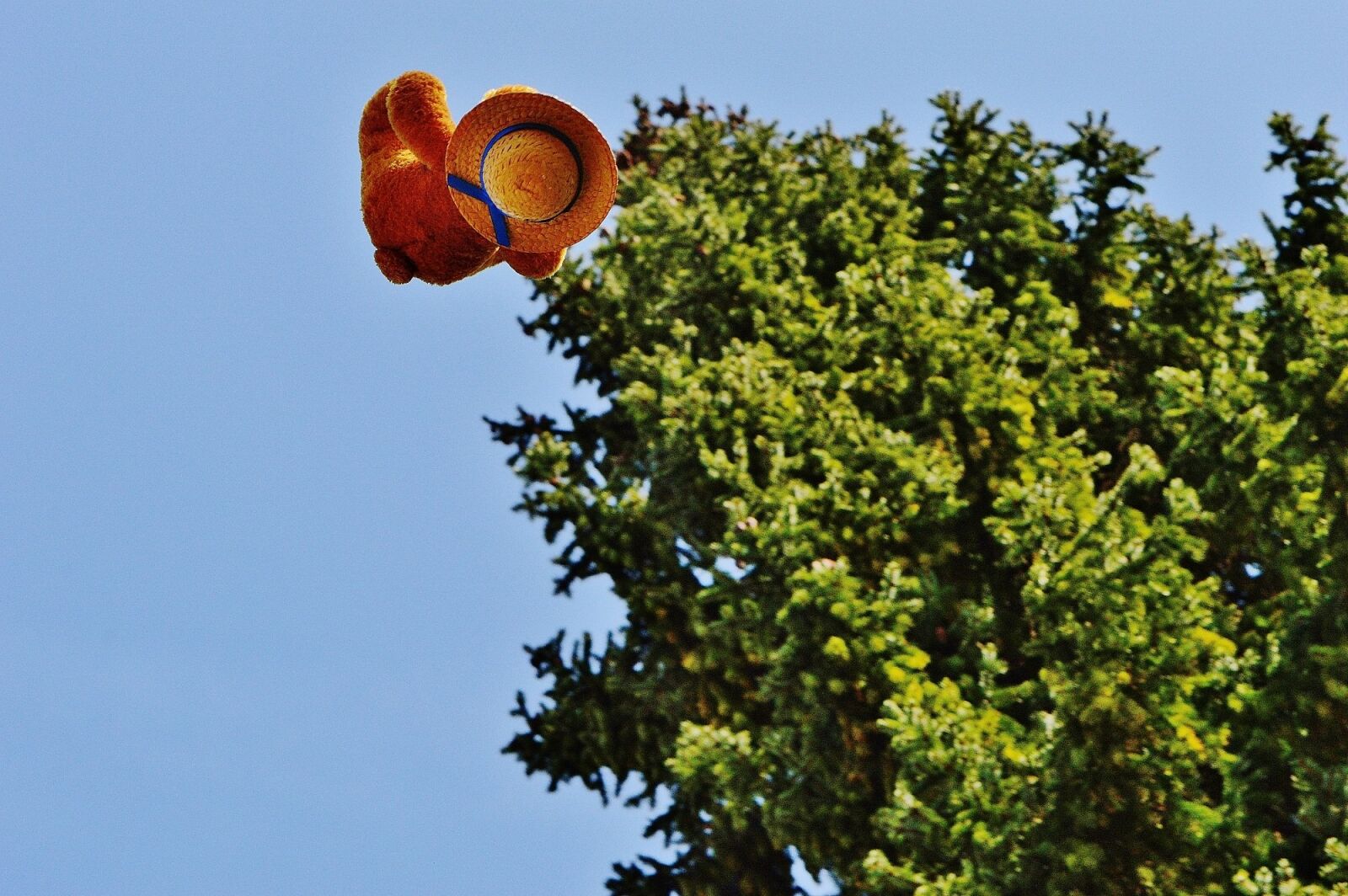 Nikon D3200 sample photo. Flying teddy, funny, teddy photography
