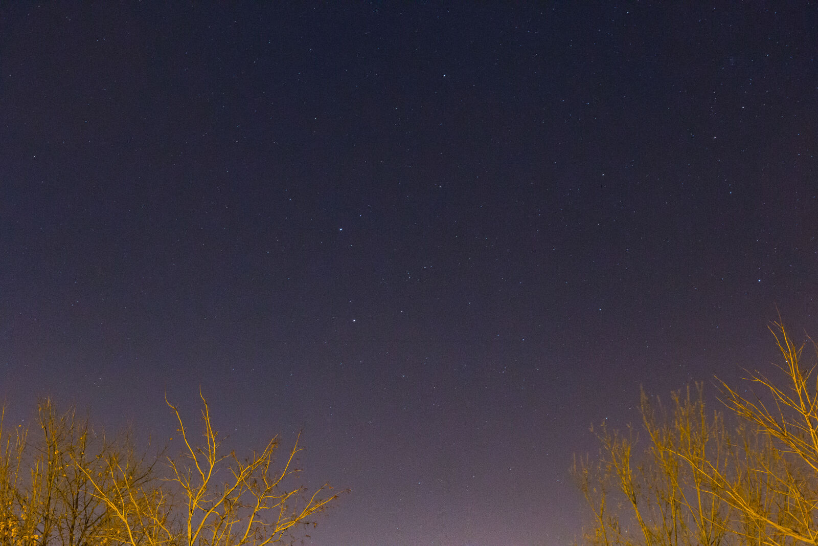 Canon EOS 6D + Canon EF 50mm F1.4 USM sample photo. Dot, dots, nature, night photography
