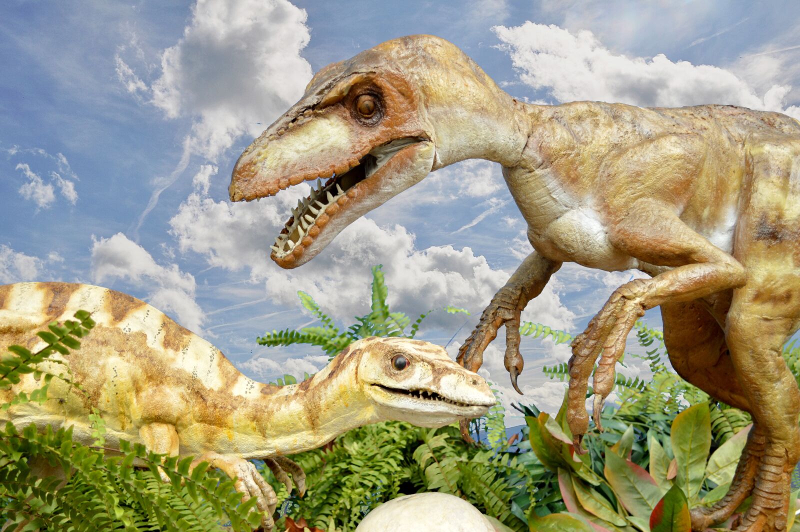 Nikon D3200 sample photo. Dinosaurs, lizards, carnivores photography
