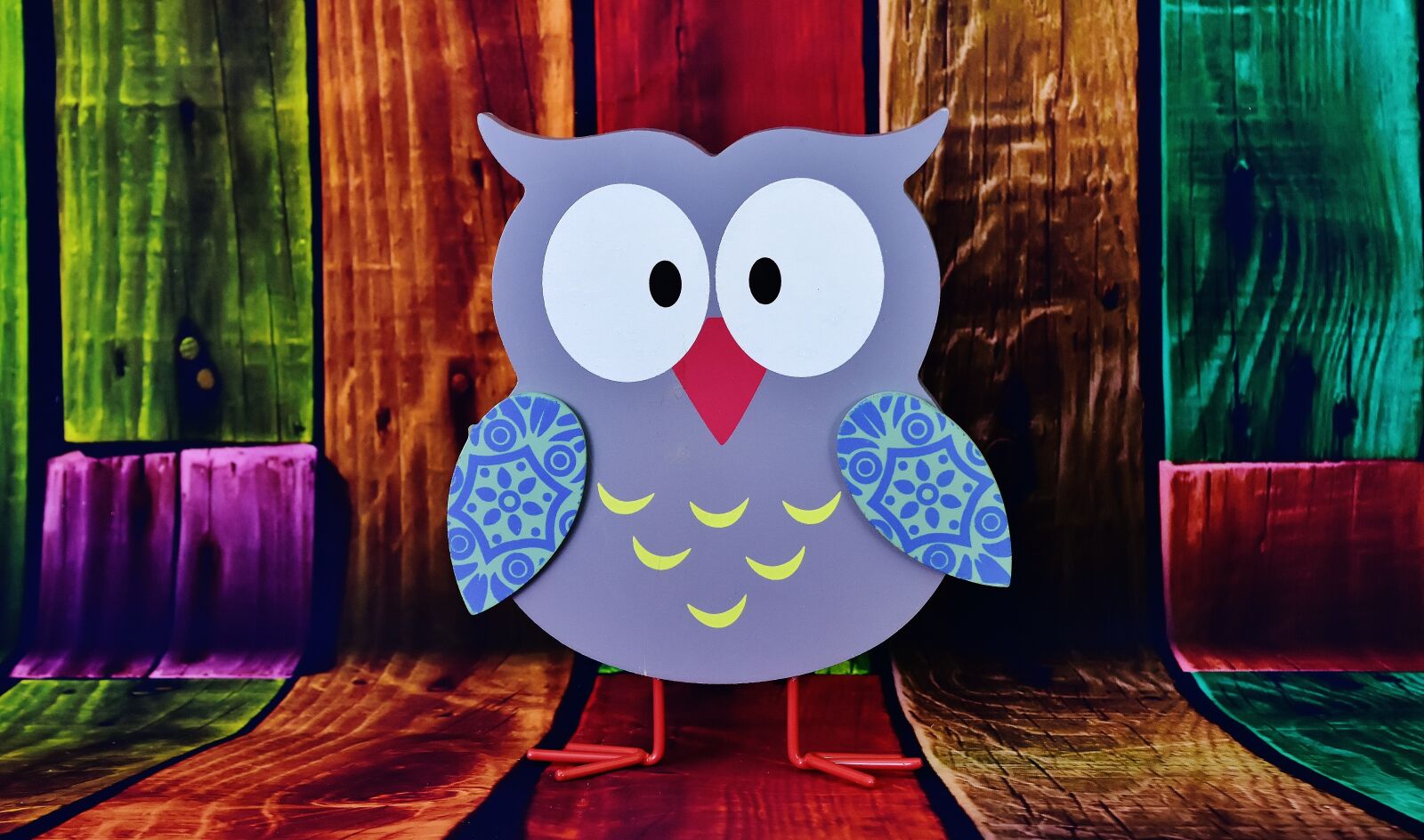 Nikon D7200 sample photo. Owl, colorful wood, cute photography
