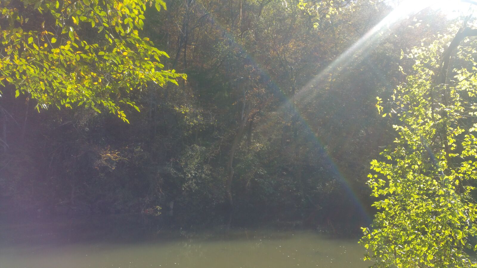 Samsung Galaxy Note4 sample photo. Nature, woods, hike photography