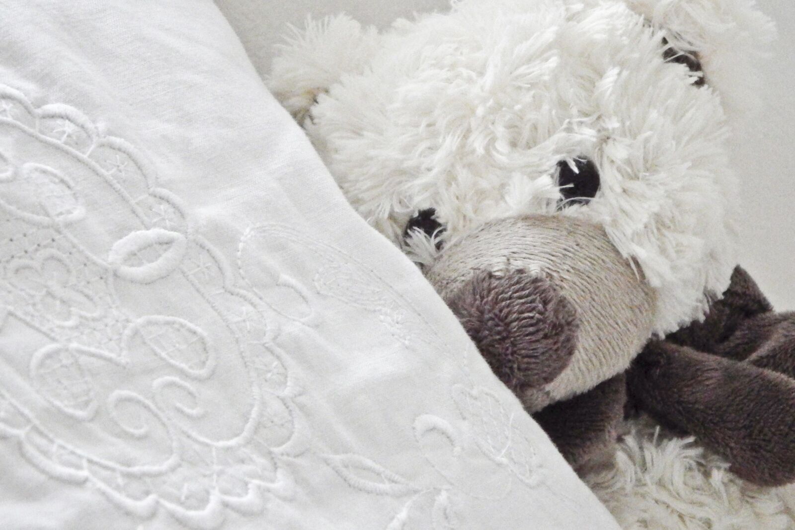 Fujifilm FinePix SL1000 sample photo. Teddy, toys, teddy bear photography