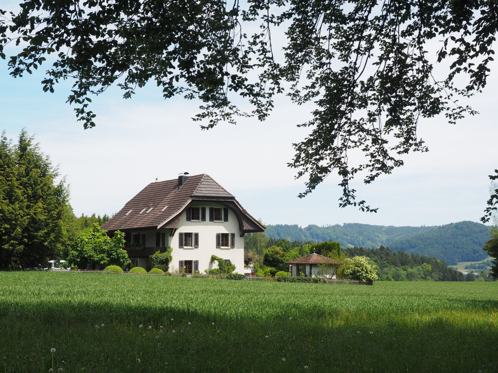 Olympus OM-D E-M1 + Olympus M.Zuiko Digital ED 12-40mm F2.8 Pro sample photo. House, building, ründihaus photography