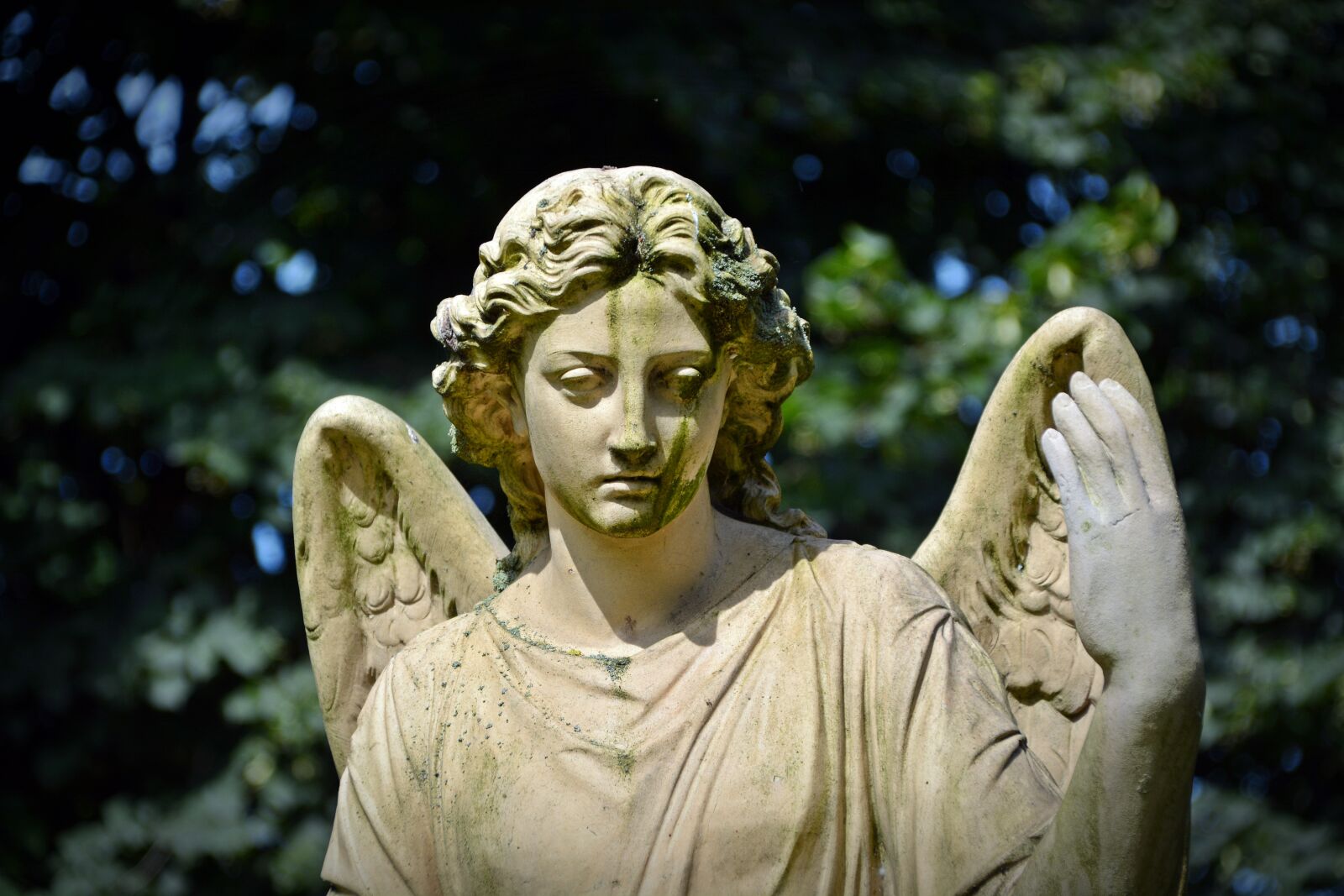Nikon D5200 sample photo. Angel, figure, mourning photography