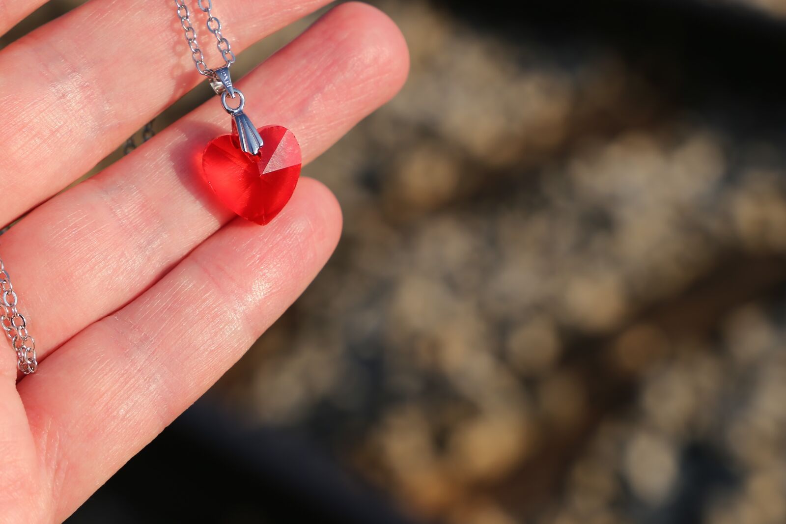 Canon EF 24-105mm F3.5-5.6 IS STM sample photo. Red heart medallion in photography