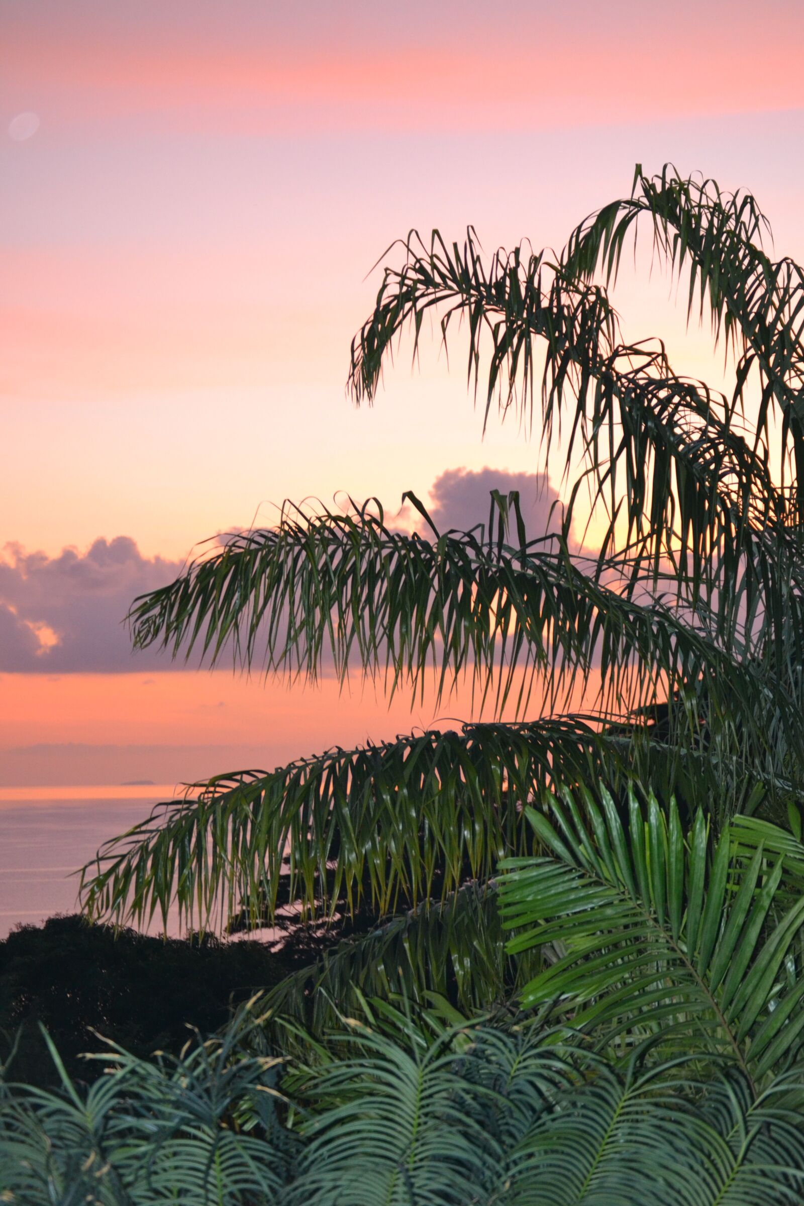 Nikon D3100 sample photo. Mahe, sunset, seychelles photography