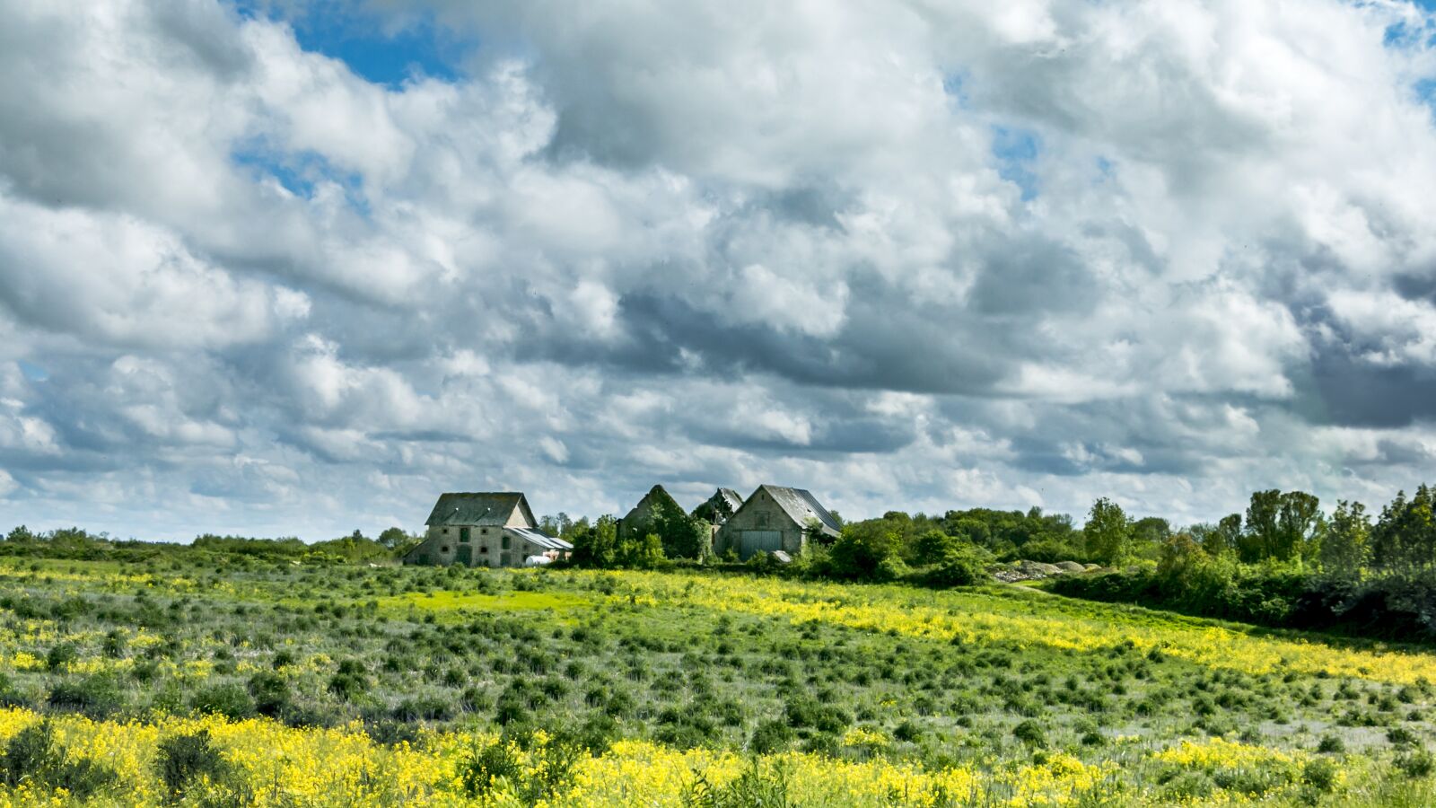Canon EOS 70D sample photo. Cloud, field, farm photography