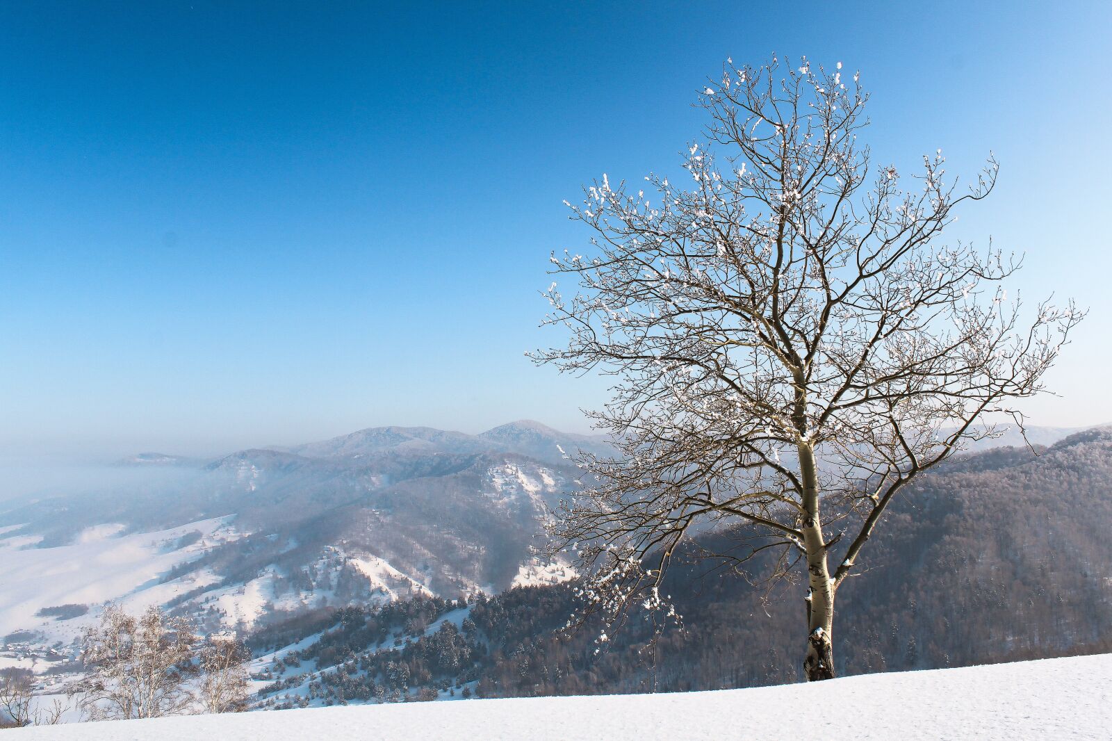 Canon EOS 500D (EOS Rebel T1i / EOS Kiss X3) sample photo. Winter, snow, sky photography