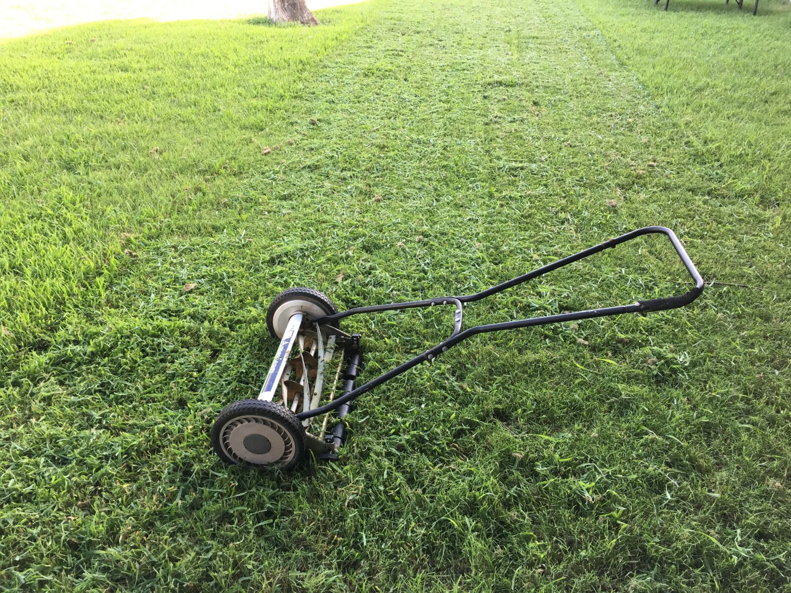 Apple iPhone 6s Plus sample photo. Lawn, lawnmower, green photography