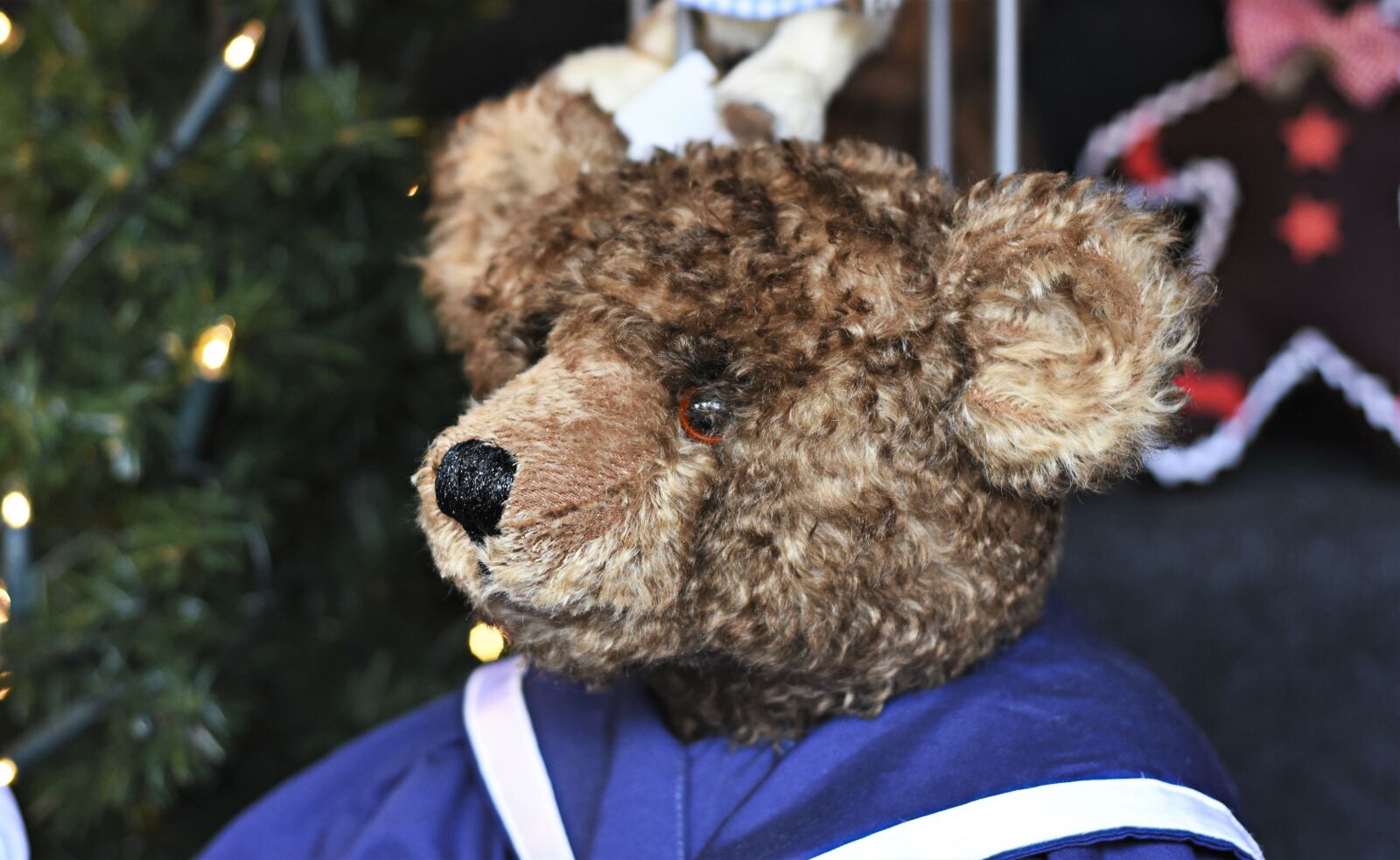 Nikon D7200 sample photo. Teddy bear, stuffed animal photography