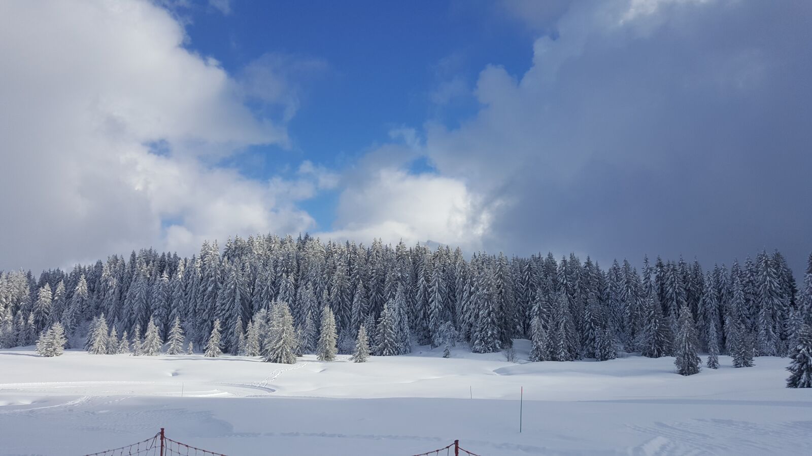Samsung GALAXY S6 edge sample photo. Alpes, neige, sapin, ski photography