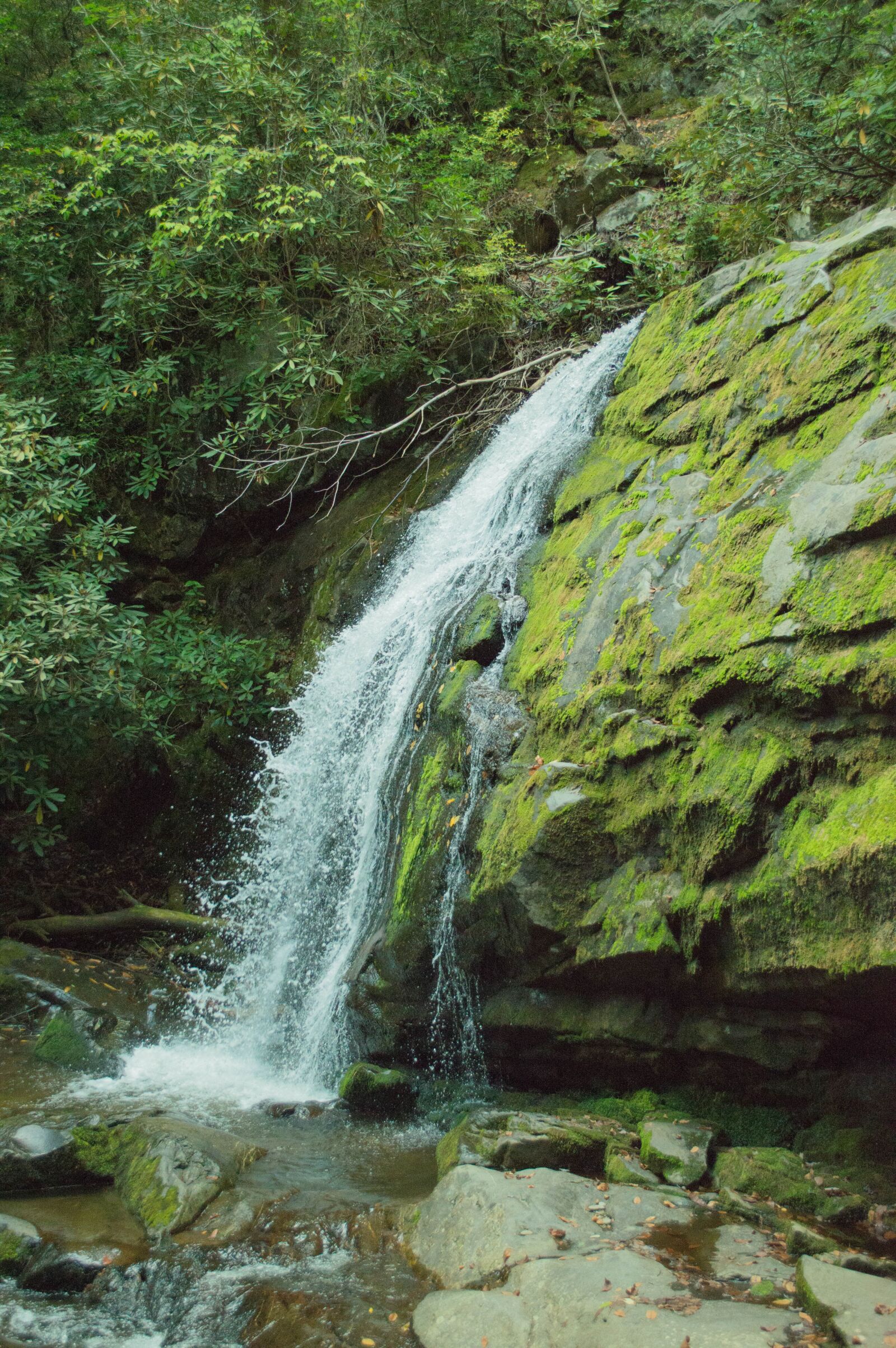 Nikon D3200 sample photo. Waterfall, water, nature photography