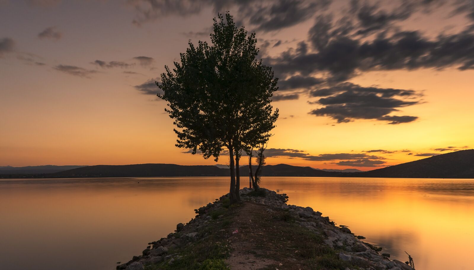 Tamron SP 24-70mm F2.8 Di VC USD sample photo. Tree, lonely, long exposure photography