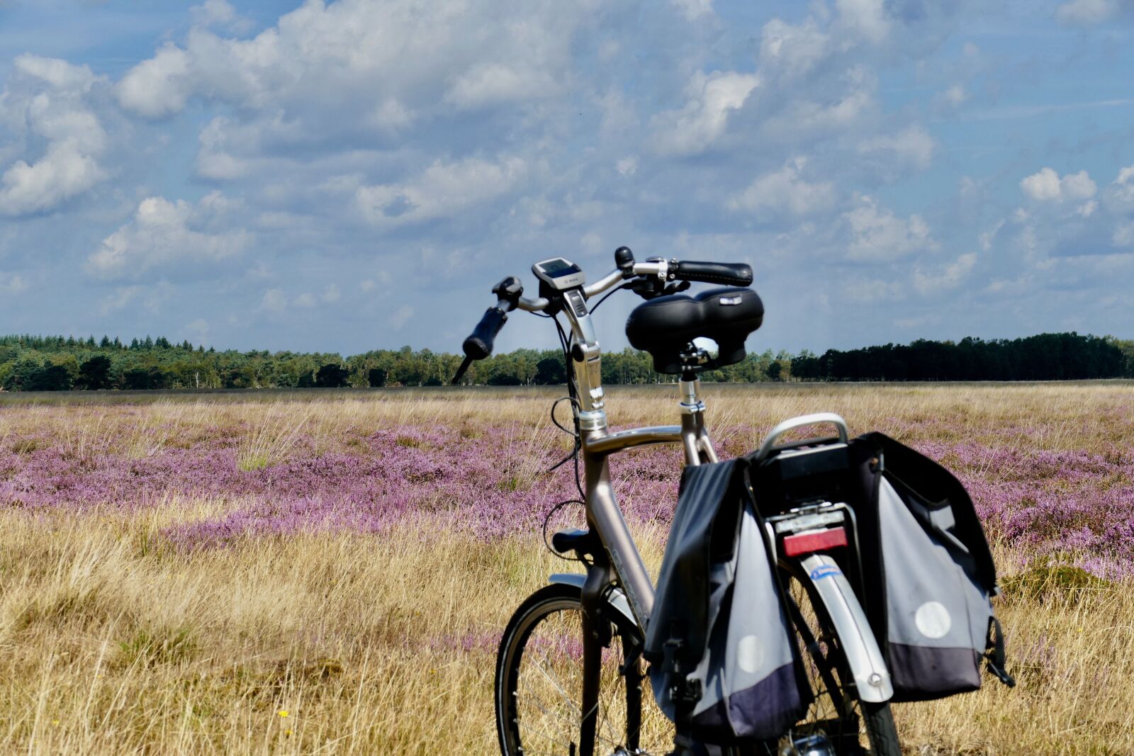 Panasonic Lumix DMC-FZ1000 sample photo. Heide, bicycle, purple photography