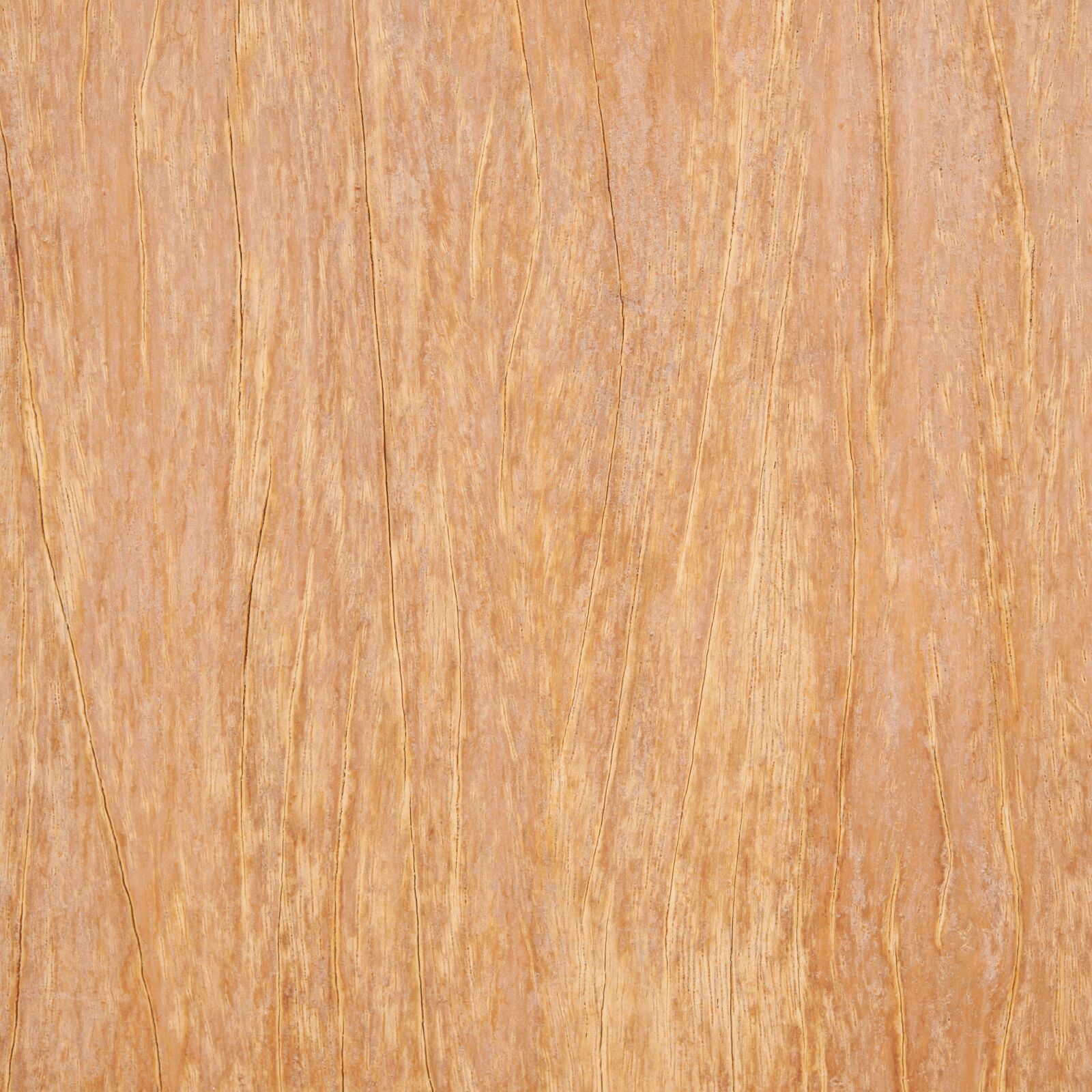 Nikon D700 sample photo. Abstract, antique, backdrop photography