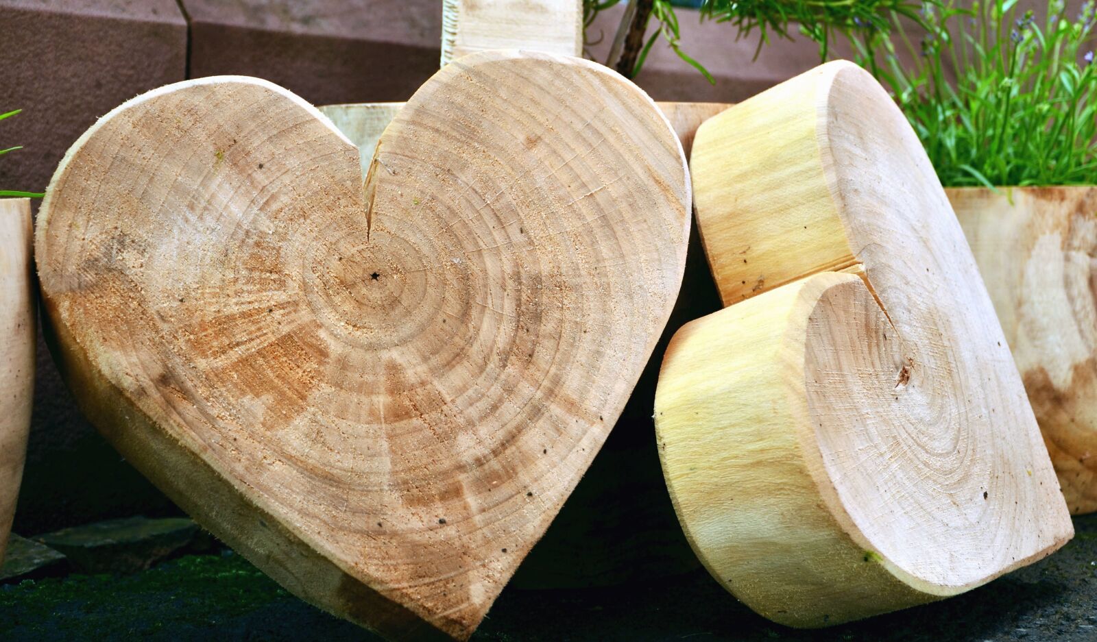 Nikon D5100 sample photo. Heart, tree, ring, art photography
