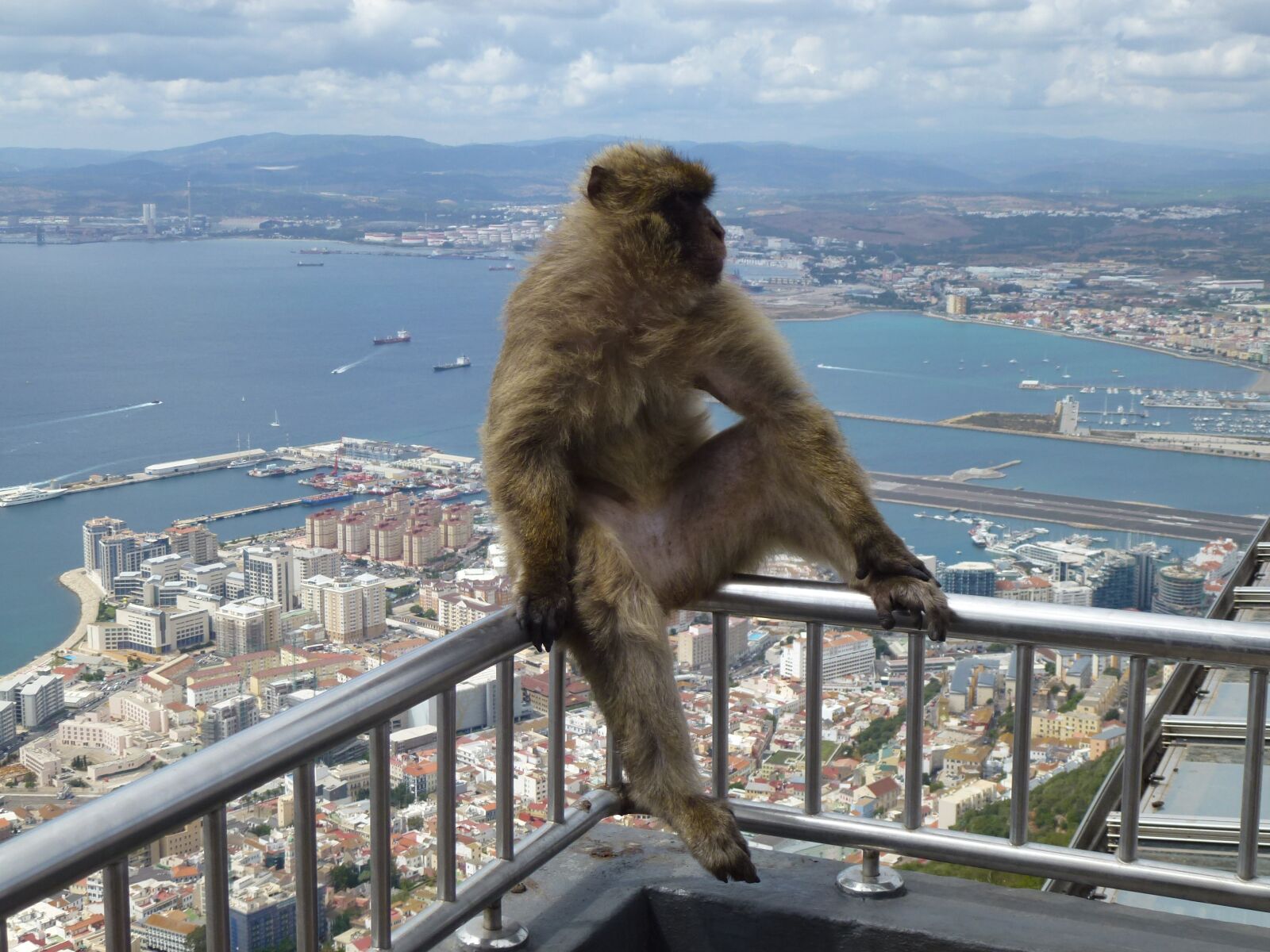 Panasonic Lumix DMC-ZS10 (Lumix DMC-TZ20 / Lumix DMC-TZ22) sample photo. Travel, mono, gibraltar photography