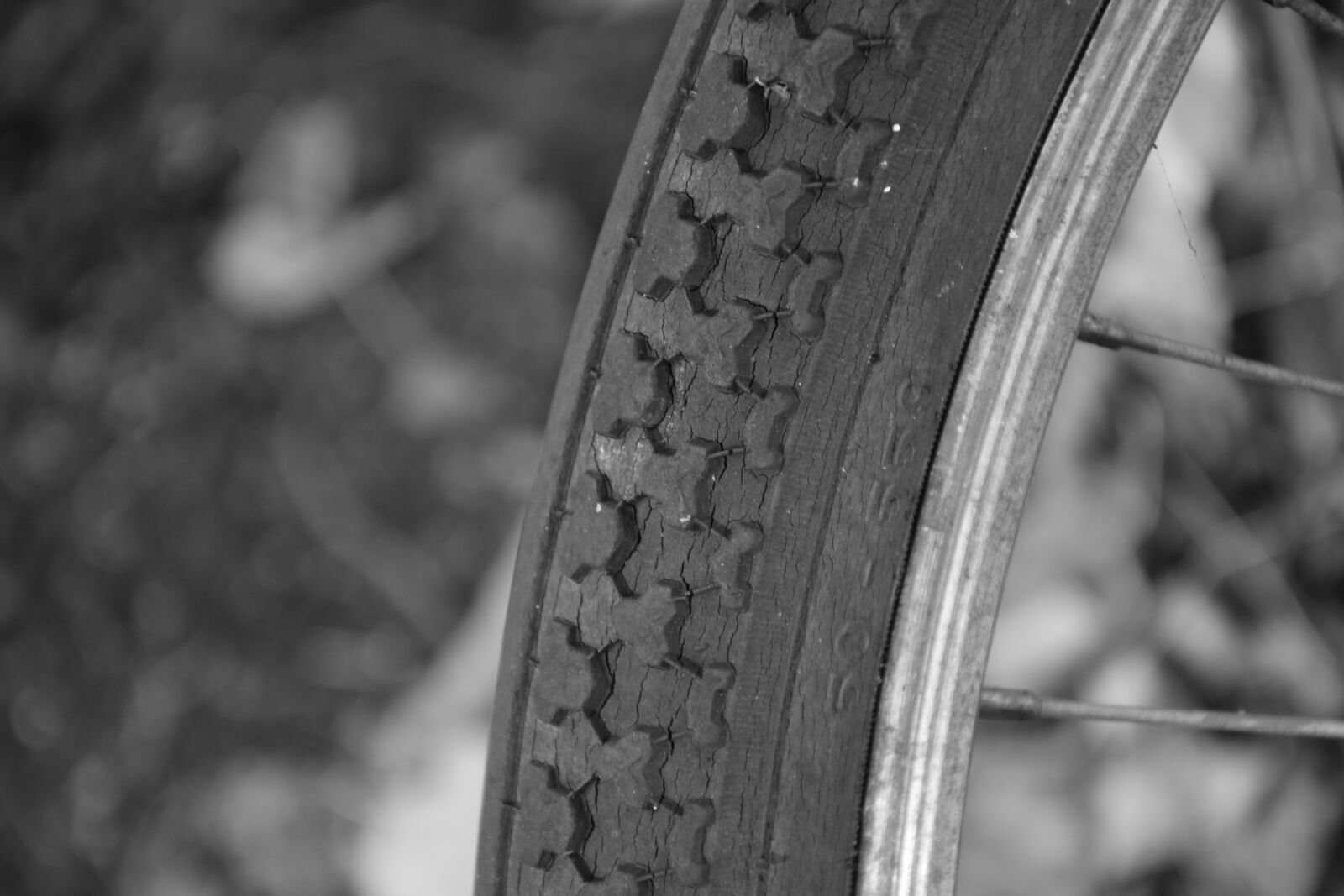 Nikon D3300 sample photo. Bike, mature, wheel photography