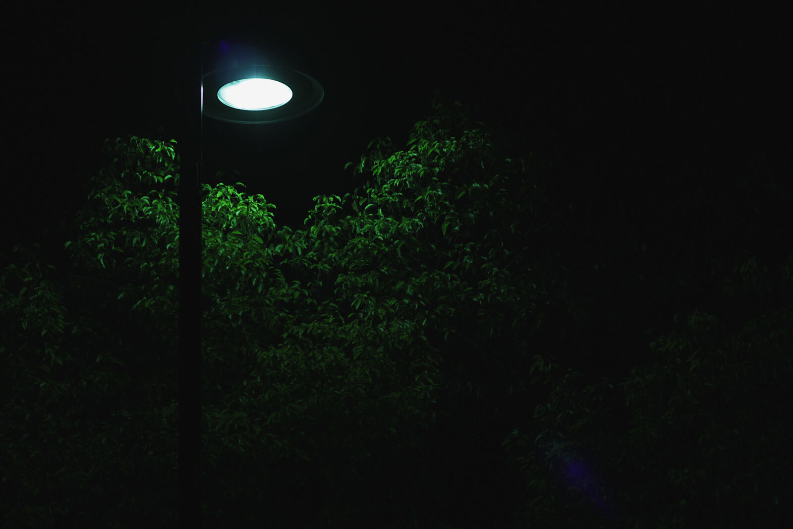 Canon EOS 550D (EOS Rebel T2i / EOS Kiss X4) sample photo. Night photography