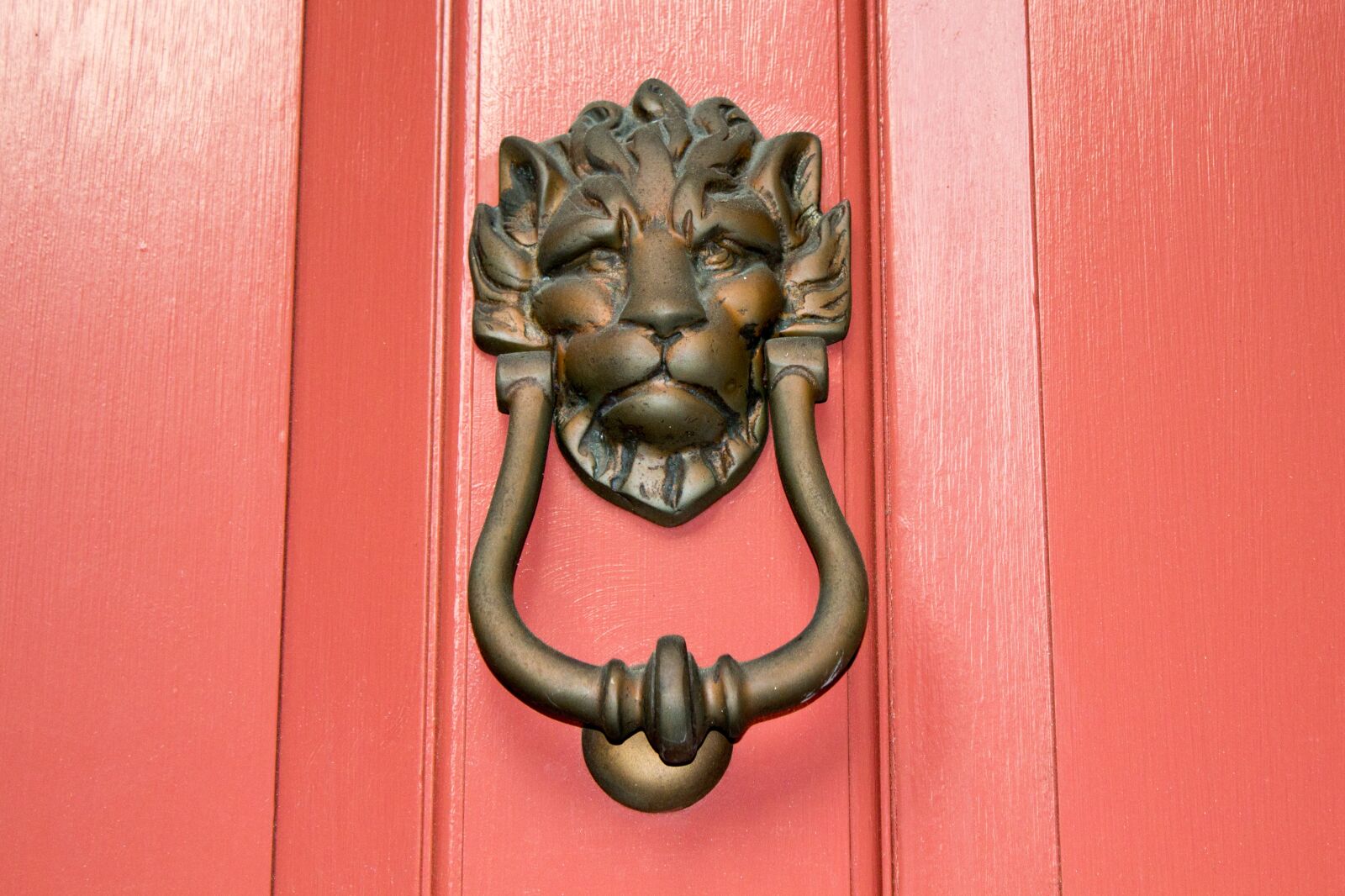 Canon EOS 600D (Rebel EOS T3i / EOS Kiss X5) sample photo. Door knocker, lion, south photography