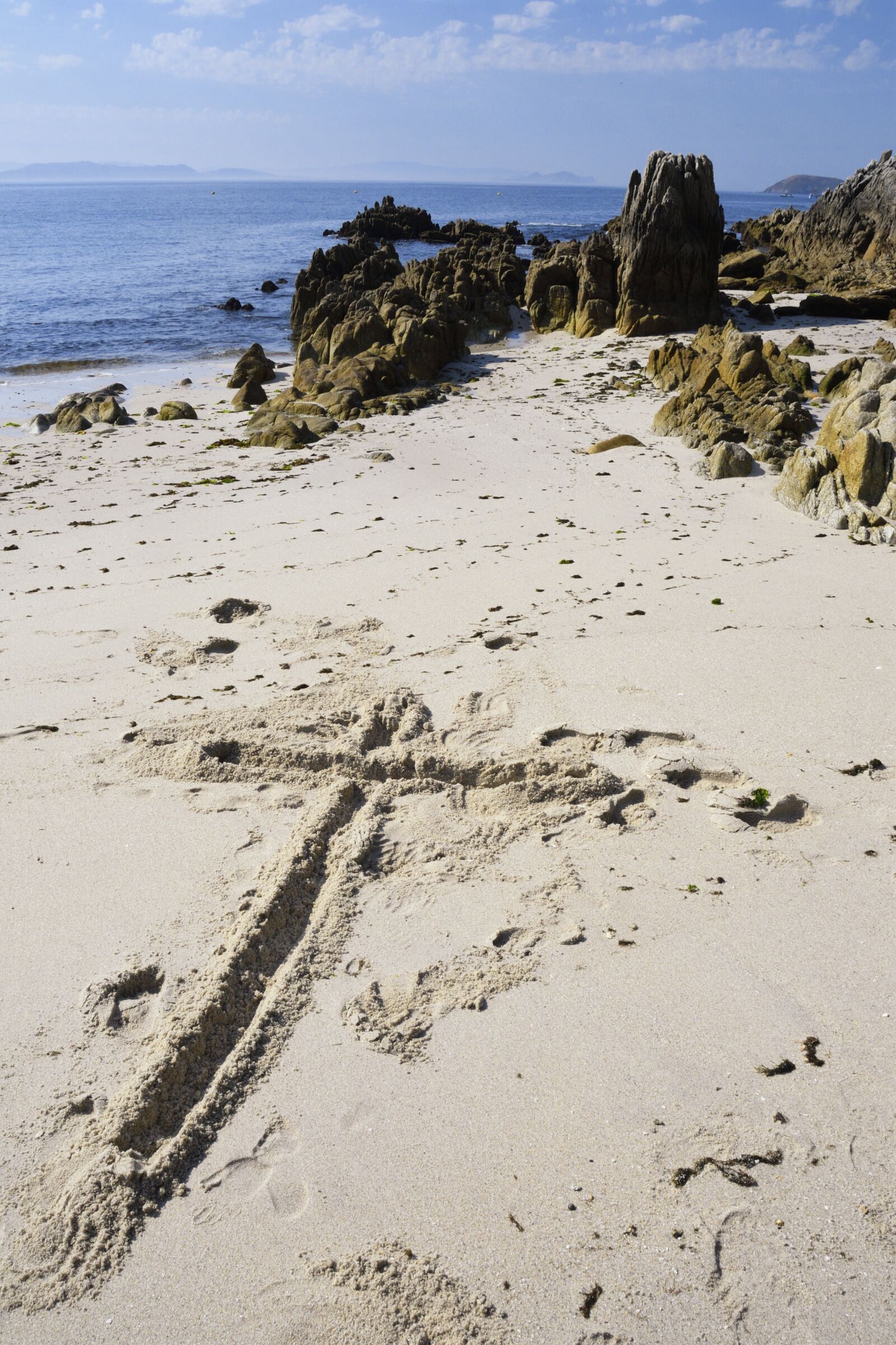 Nikon D500 sample photo. Sand, beach, faith photography