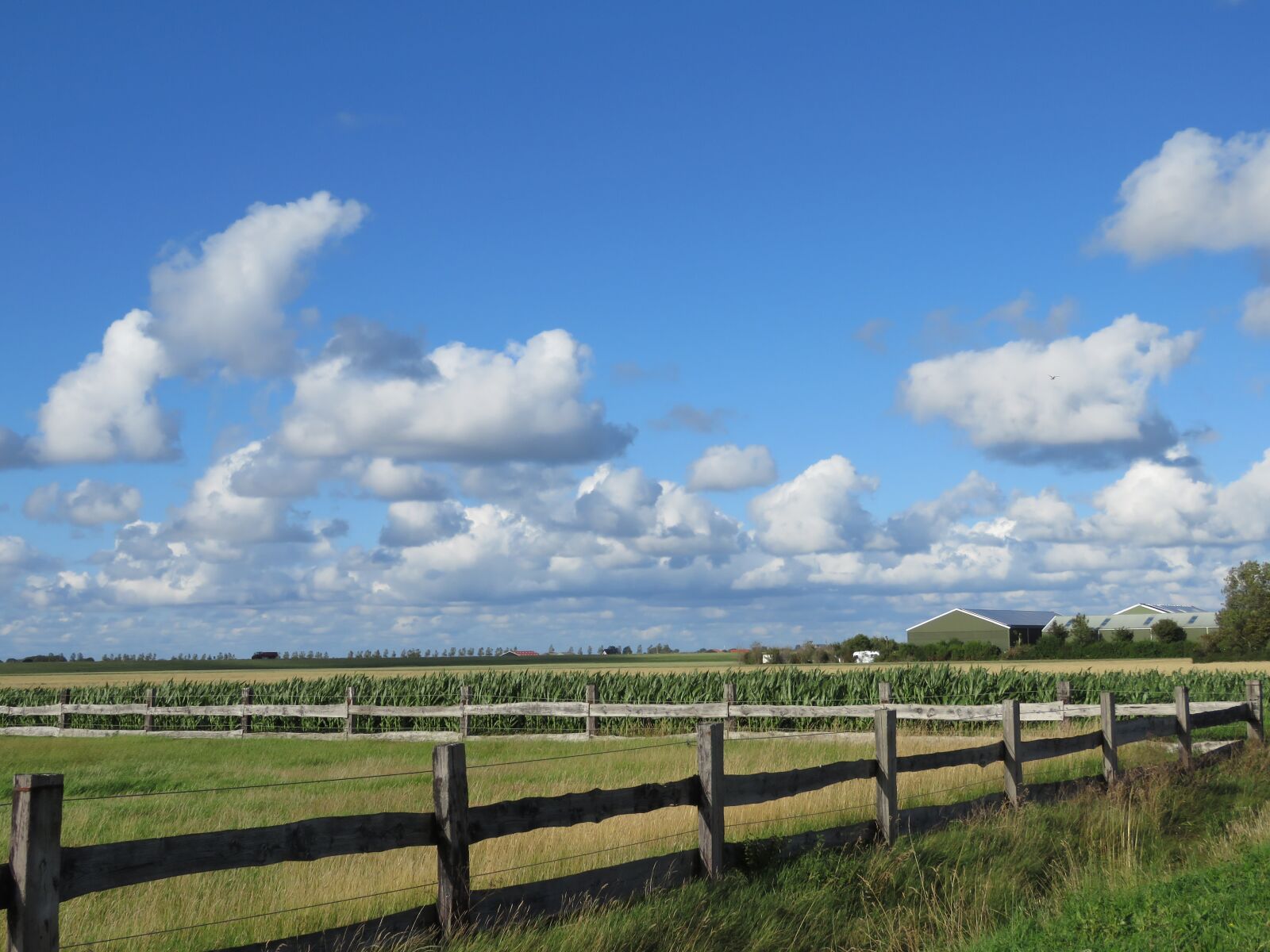 Canon PowerShot SX60 HS sample photo. Whey, landscape, fence photography