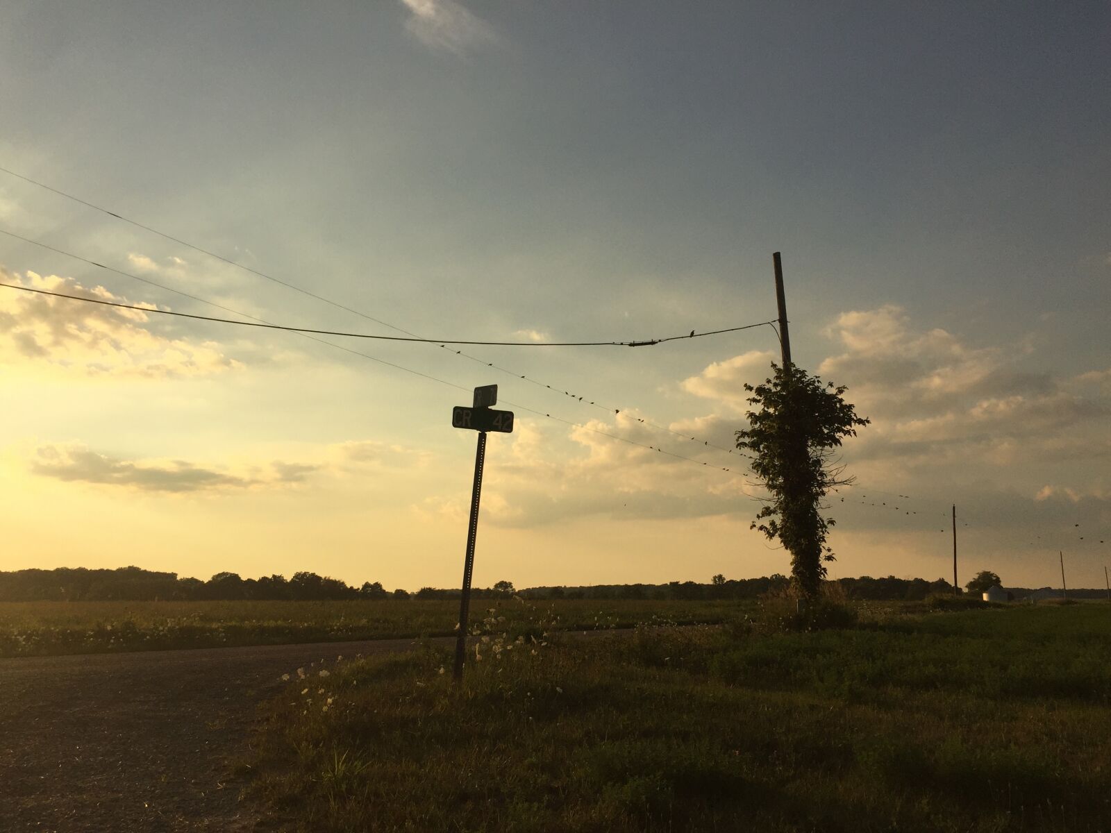 iPhone 6 back camera 4.15mm f/2.2 sample photo. Country, sunset, landscape photography