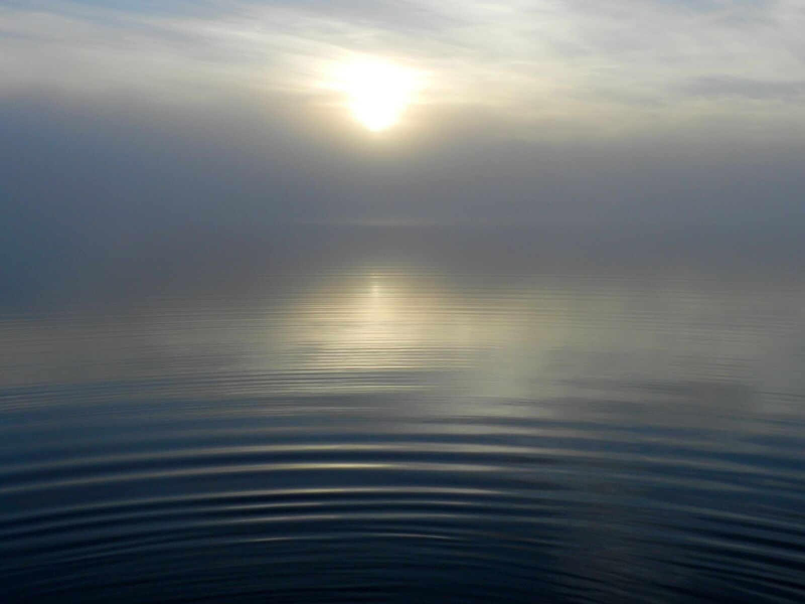 Nikon Coolpix P500 sample photo. Lake, morning, fog photography