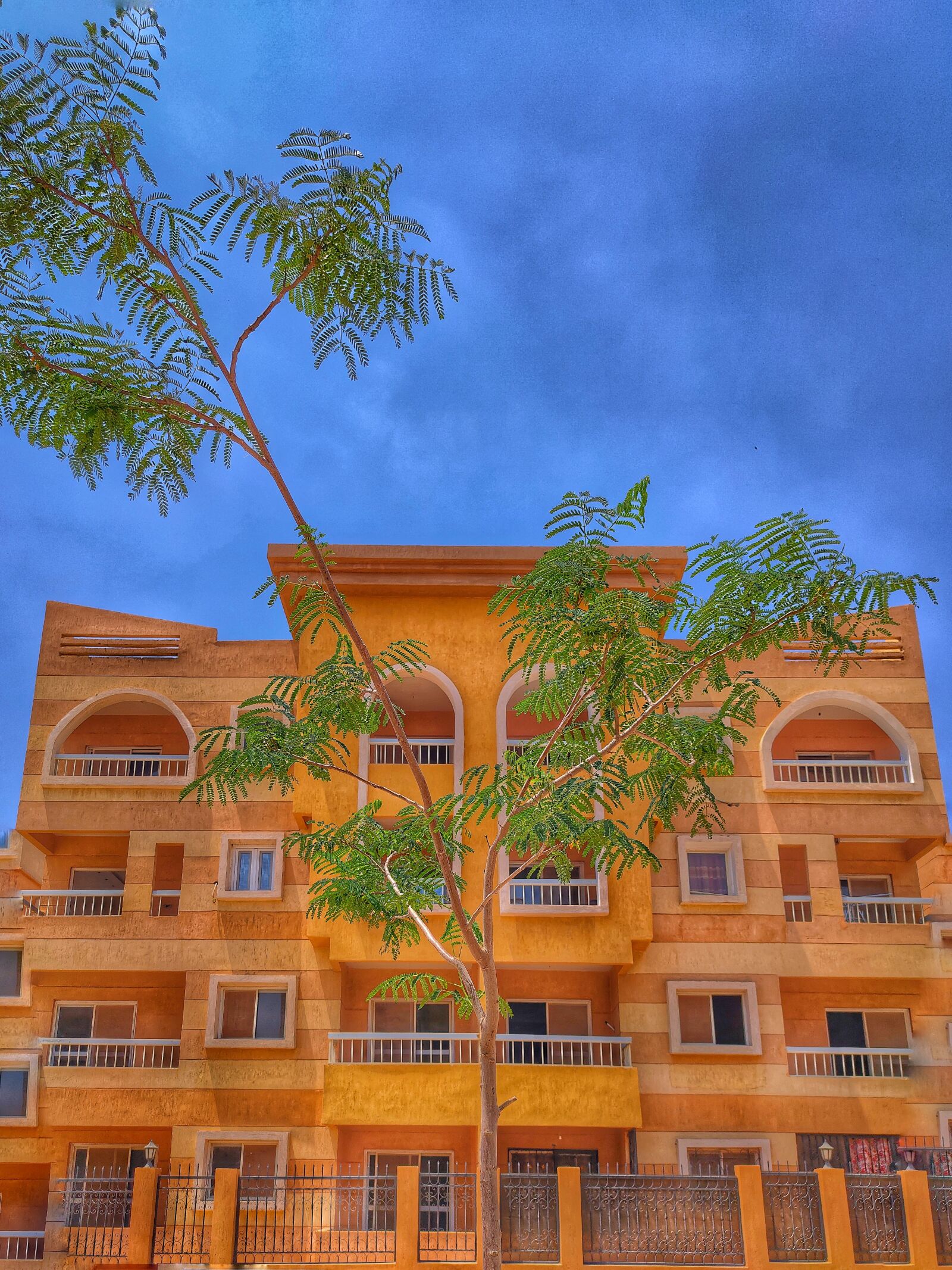 Realme XT sample photo. In-egypt, beauty, home photography