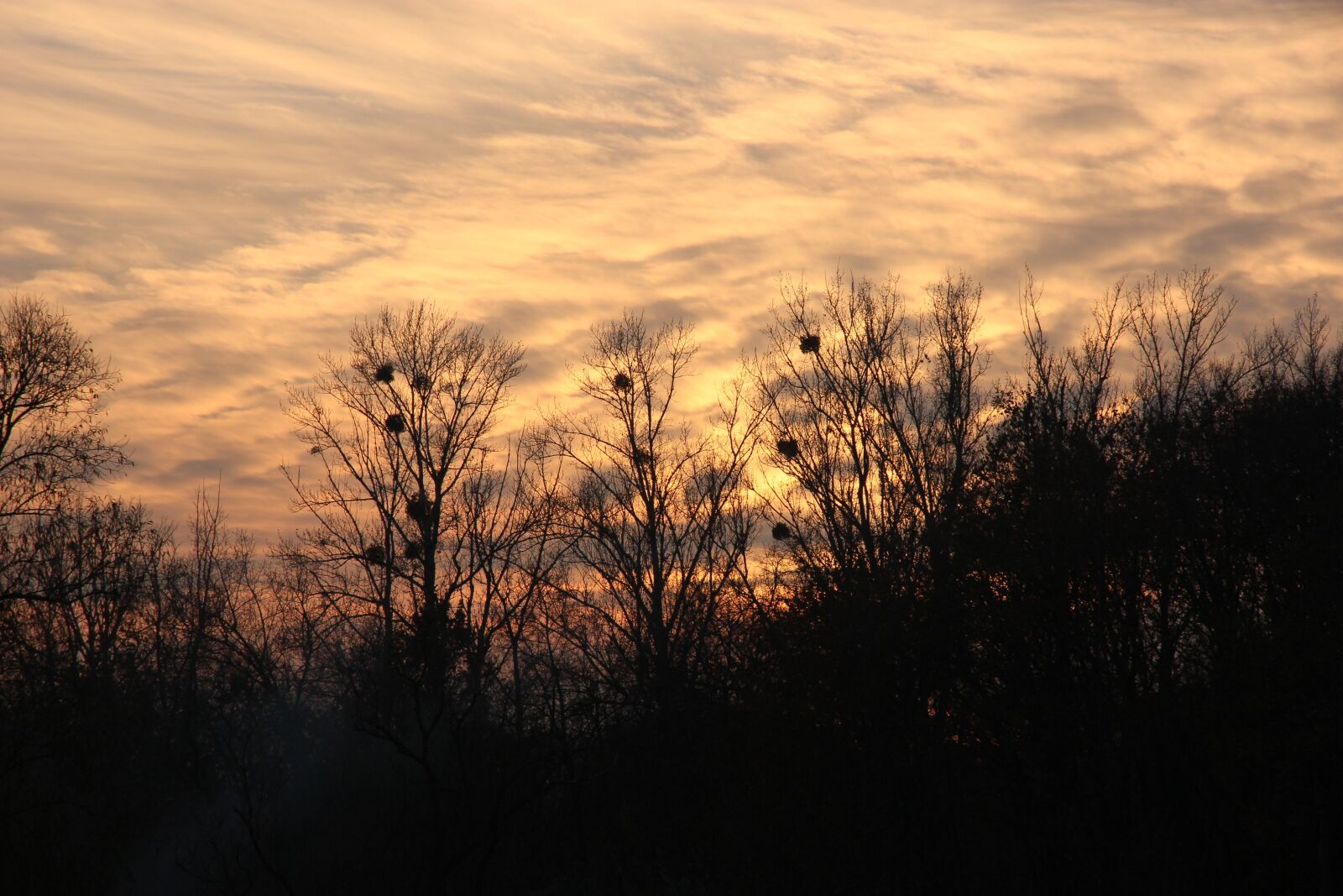 Canon EOS 550D (EOS Rebel T2i / EOS Kiss X4) sample photo. In the evening, autumn photography