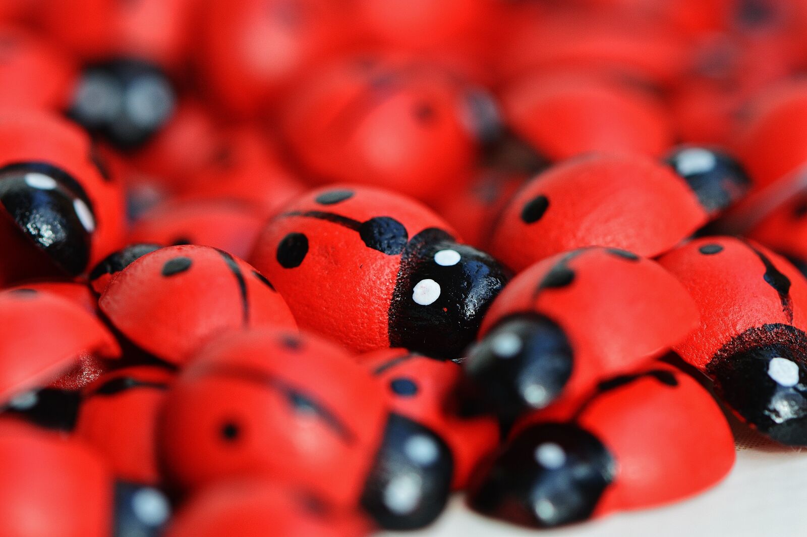Nikon D3200 sample photo. Ladybug, wood, cute photography