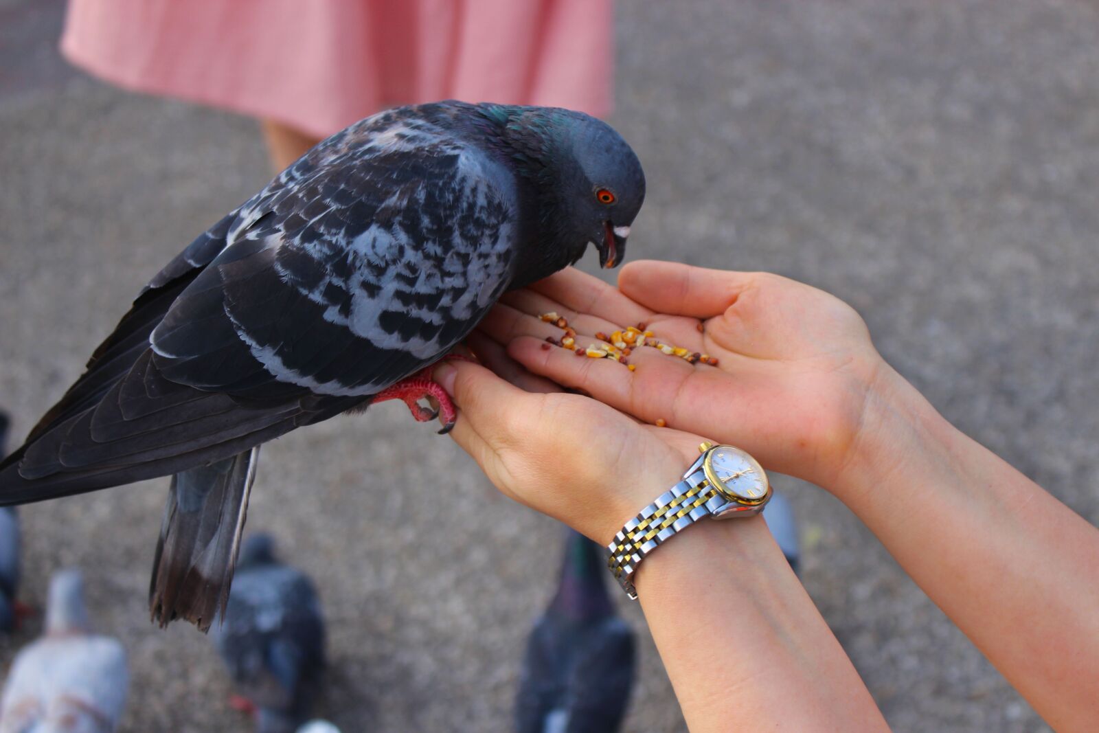 Canon EOS 700D (EOS Rebel T5i / EOS Kiss X7i) sample photo. Hands, palms, care photography